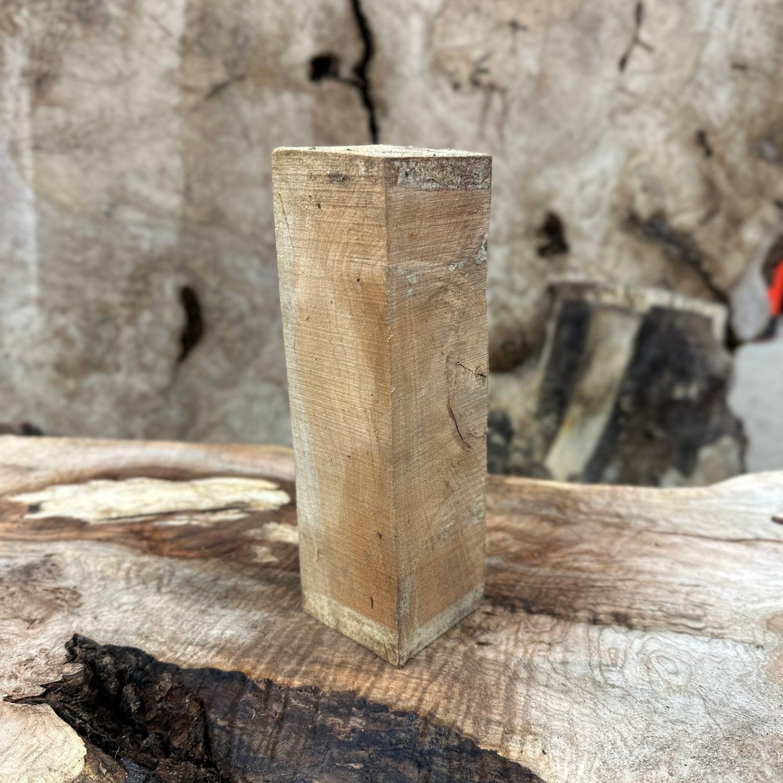 Big Leaf Maple Blank | Big Leaf Maple | Hamilton Lee Supply