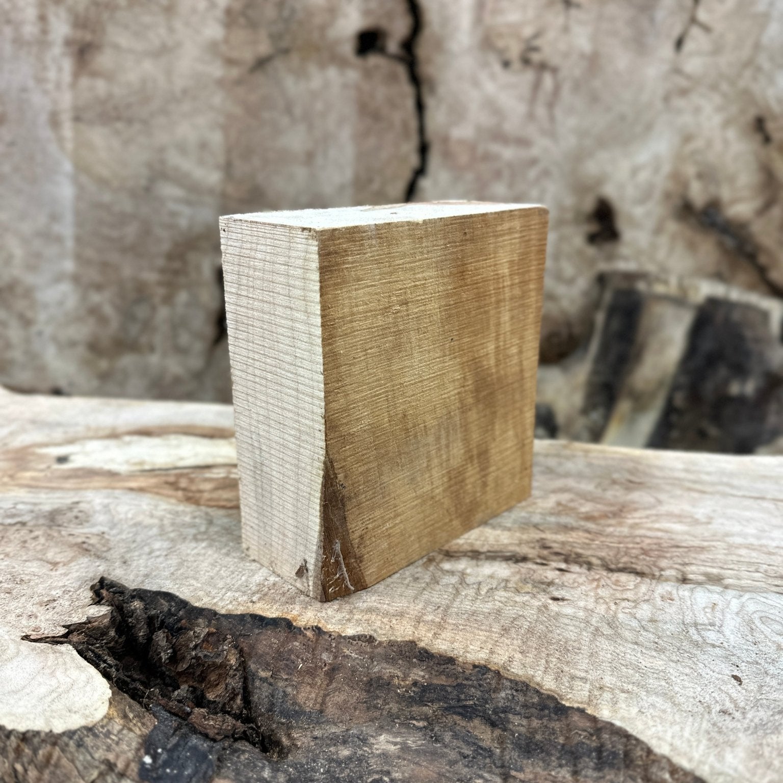 Big Leaf Maple Blank | Big Leaf Maple | Hamilton Lee Supply