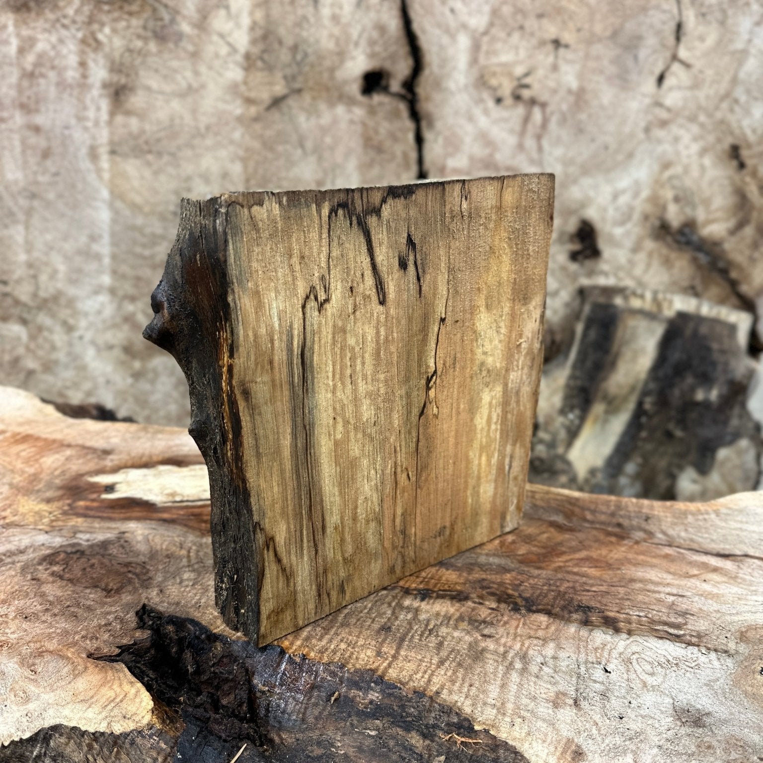 Big Leaf Maple Blank | Big Leaf Maple | Hamilton Lee Supply