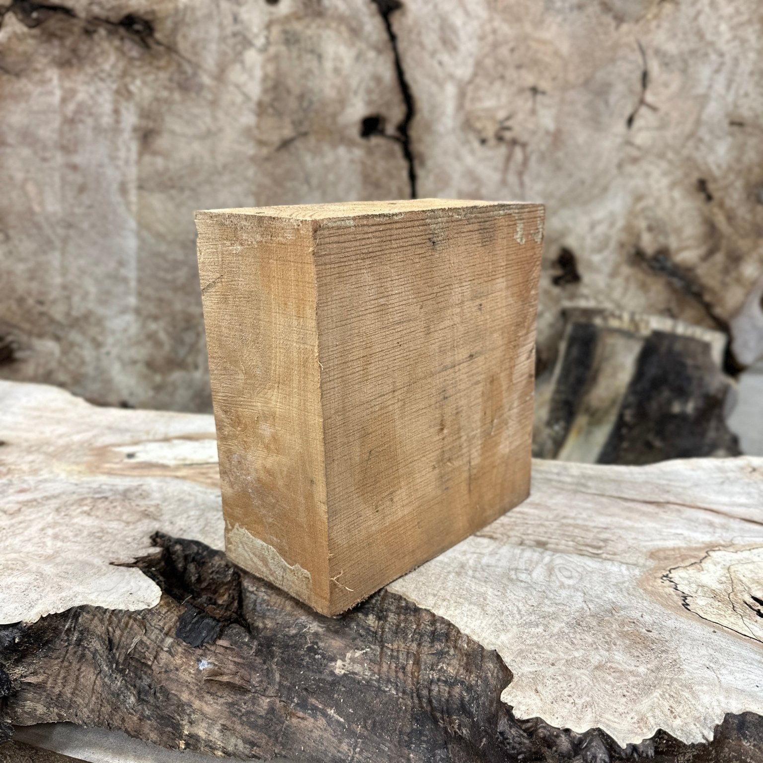 Big Leaf Maple Blank | Big Leaf Maple | Hamilton Lee Supply