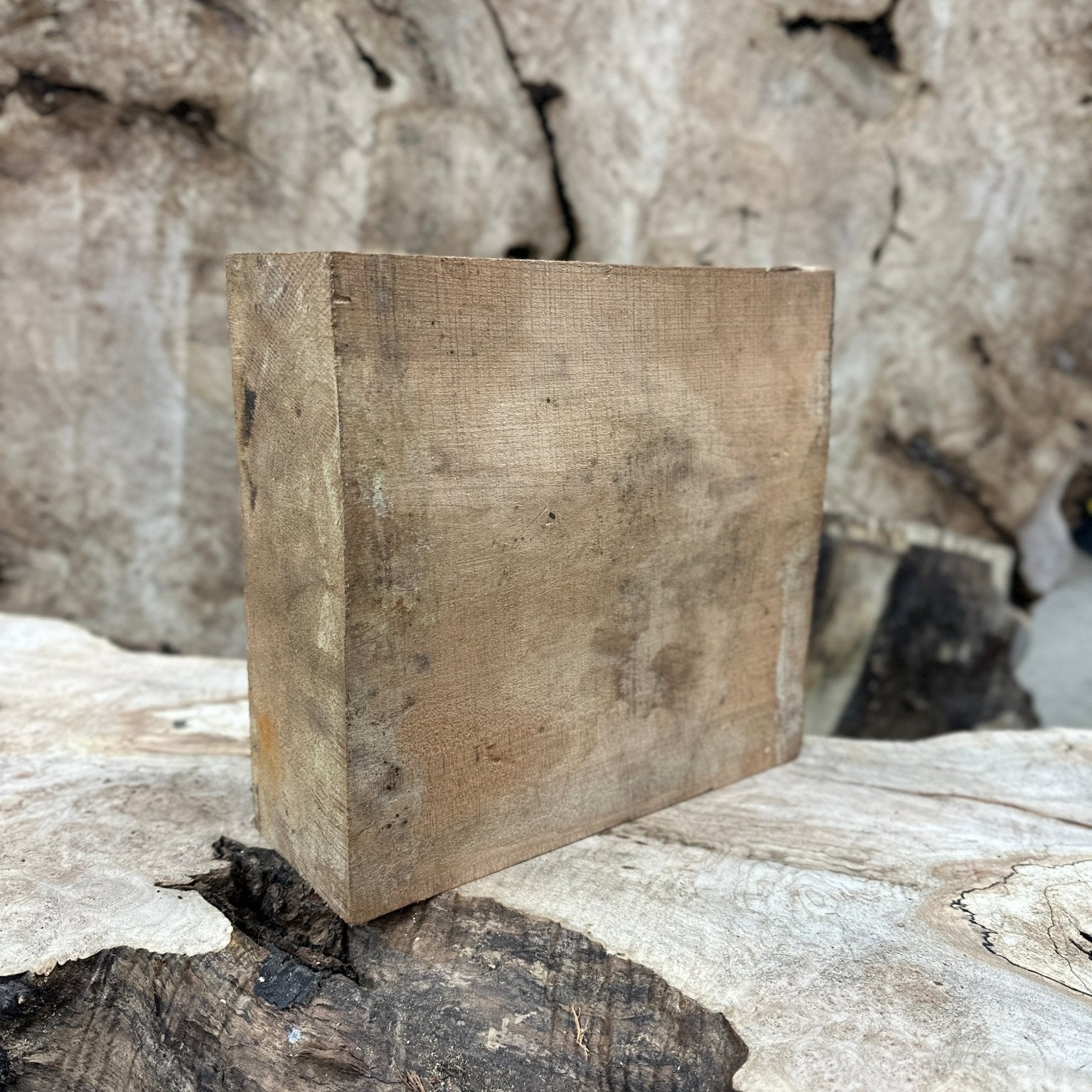 Big Leaf Maple Blank | Big Leaf Maple | Hamilton Lee Supply