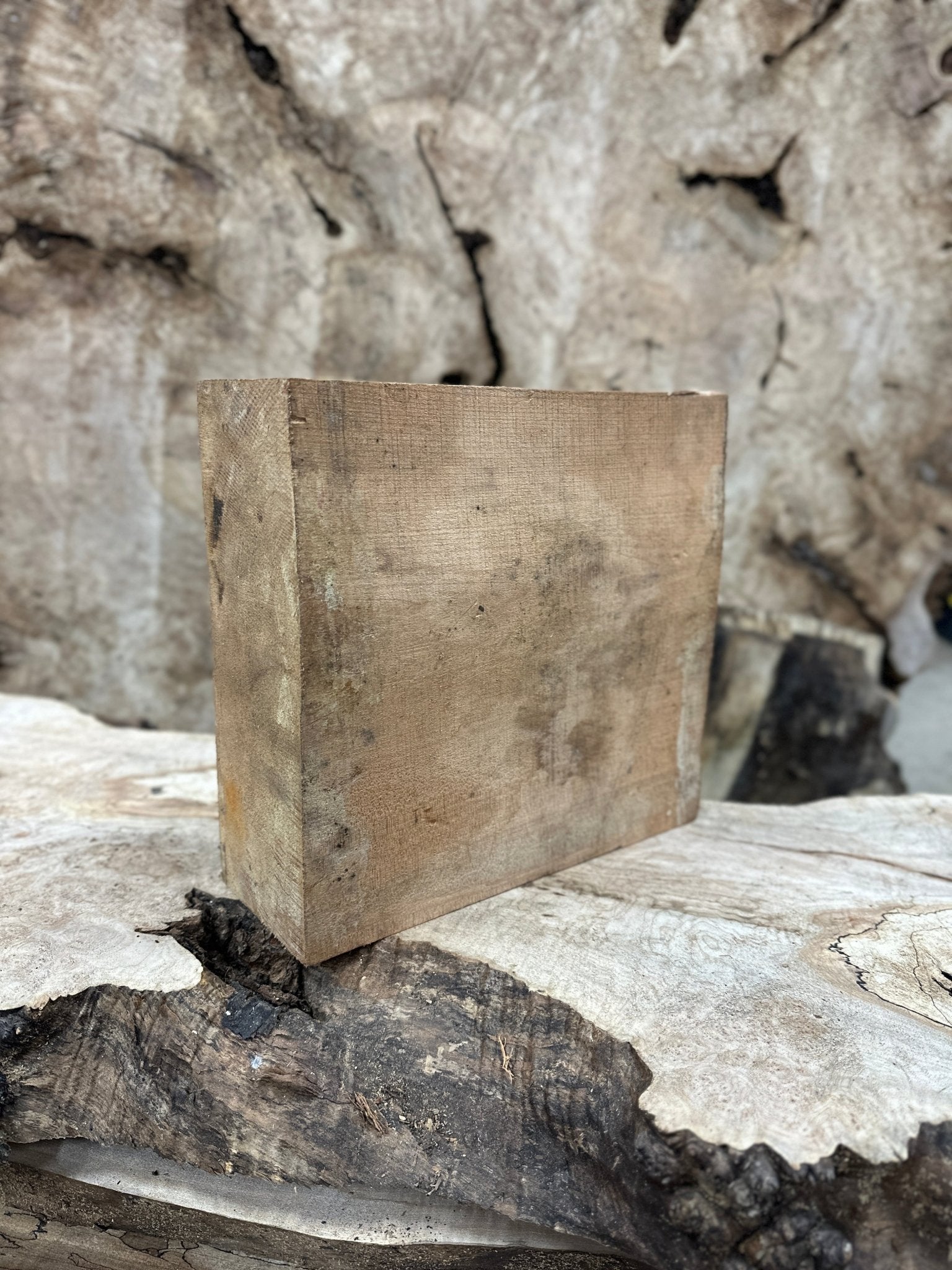 Big Leaf Maple Blank | Big Leaf Maple | Hamilton Lee Supply