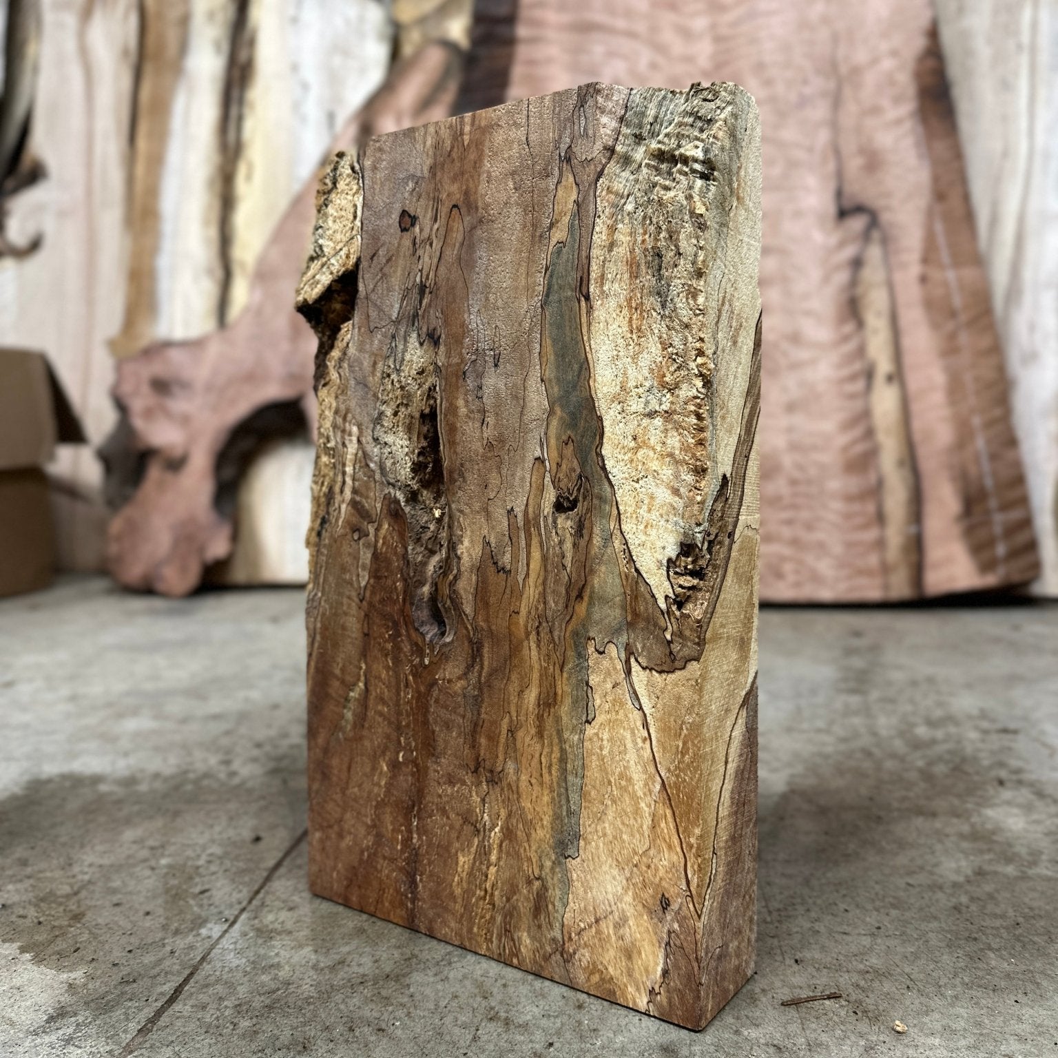 Big Leaf Maple Blank | Big Leaf Maple | Double Diamond