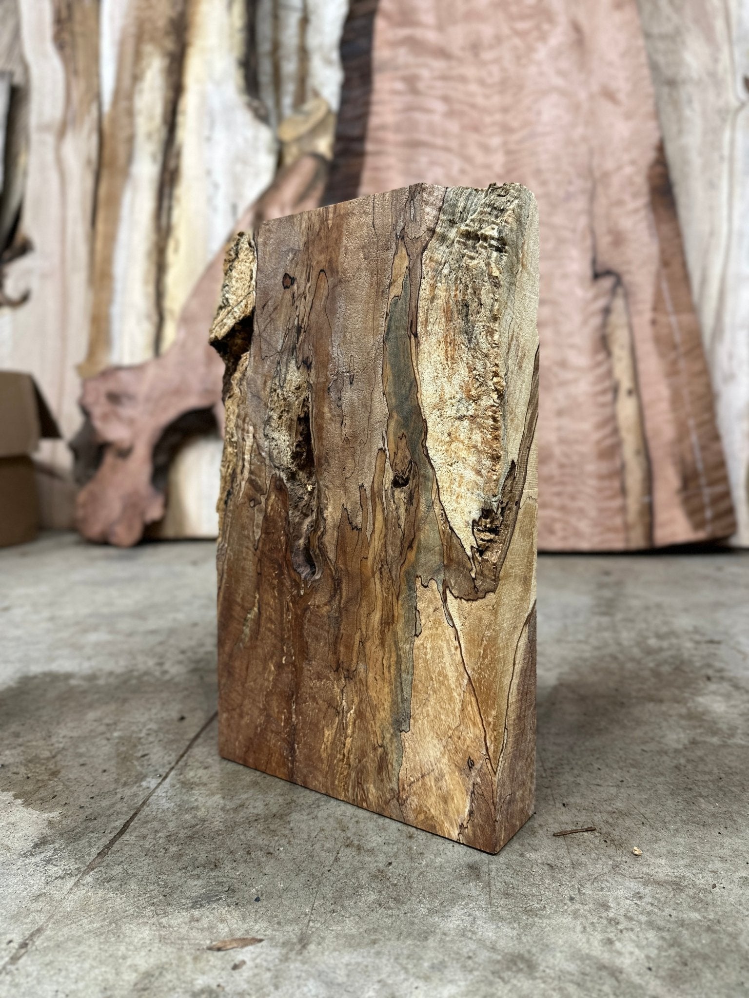 Big Leaf Maple Blank | Big Leaf Maple | Double Diamond