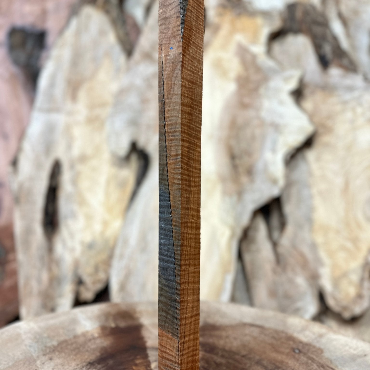 Big Leaf Maple Blank | Big Leaf Maple | Hamilton Lee Supply