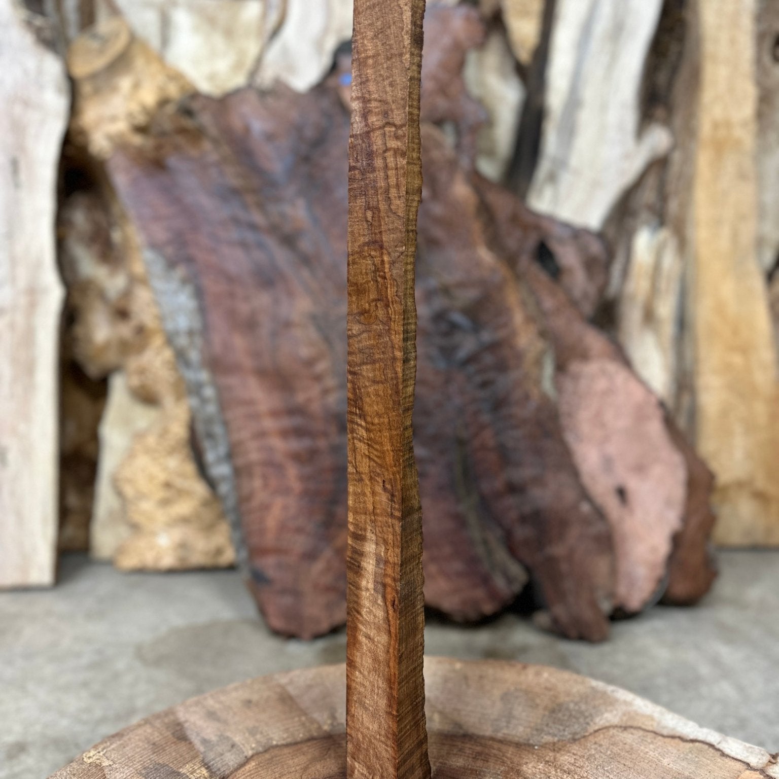 Big Leaf Maple Blank | Big Leaf Maple | Hamilton Lee Supply