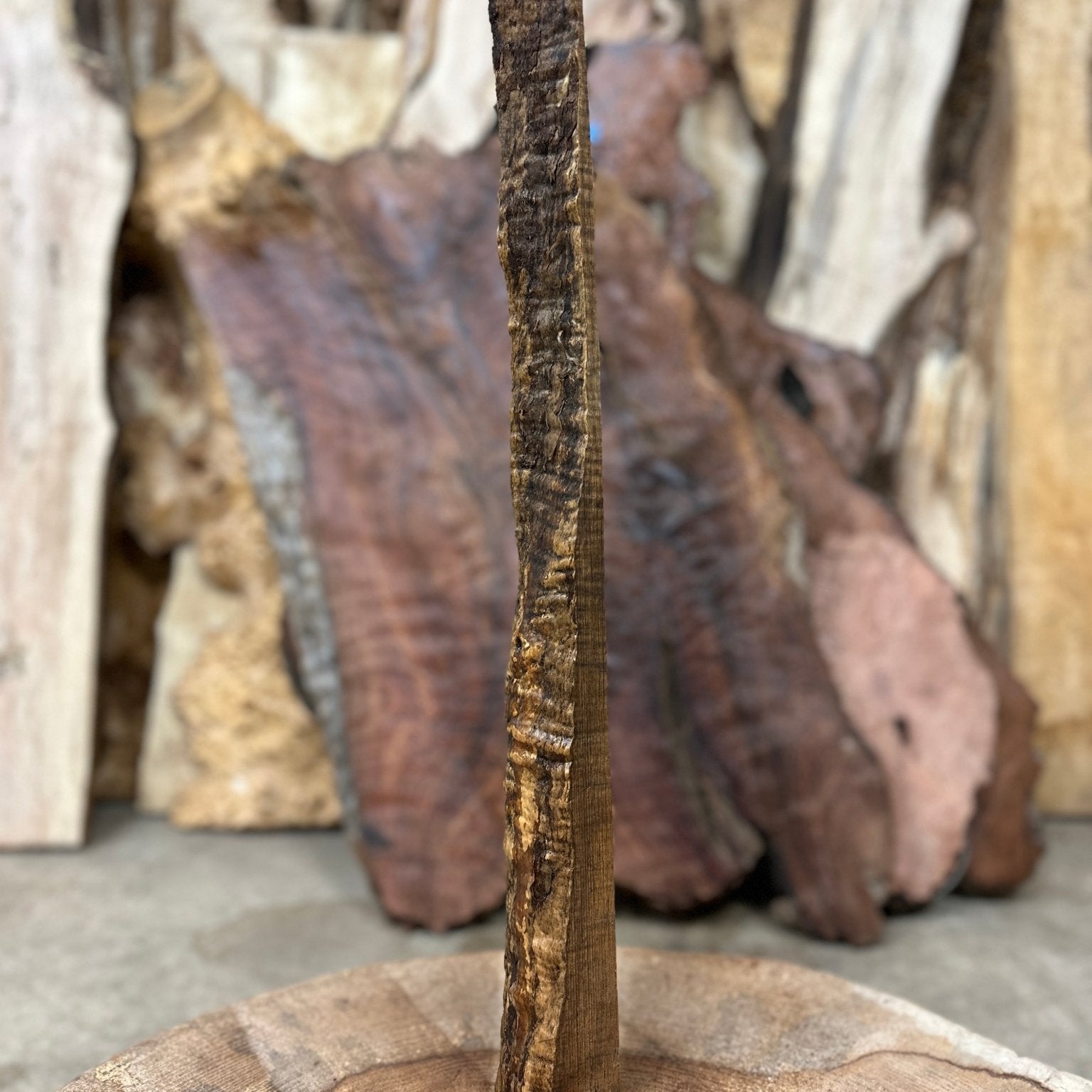 Big Leaf Maple Blank | Big Leaf Maple | Hamilton Lee Supply