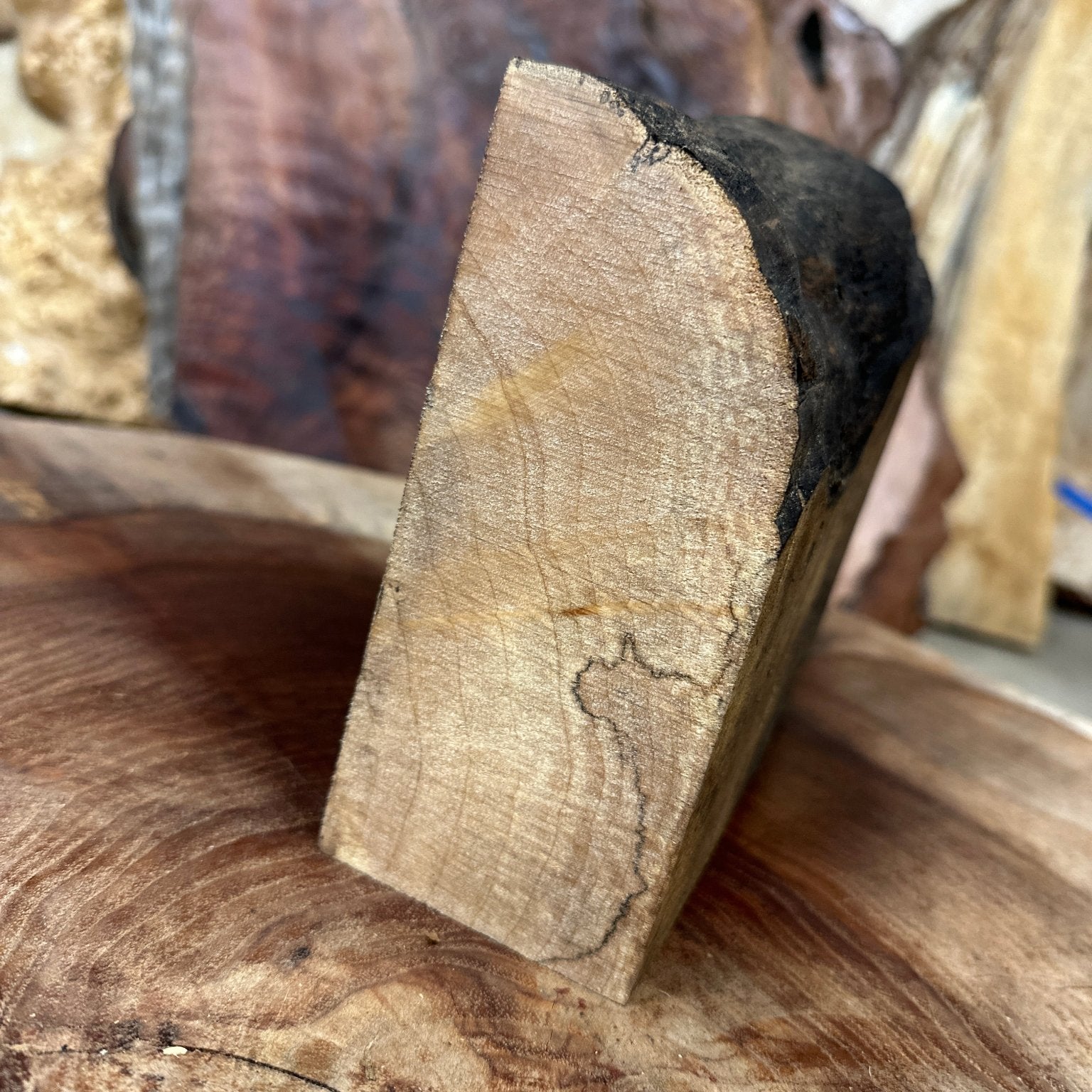 Big Leaf Maple Blank | Big Leaf Maple | Hamilton Lee Supply