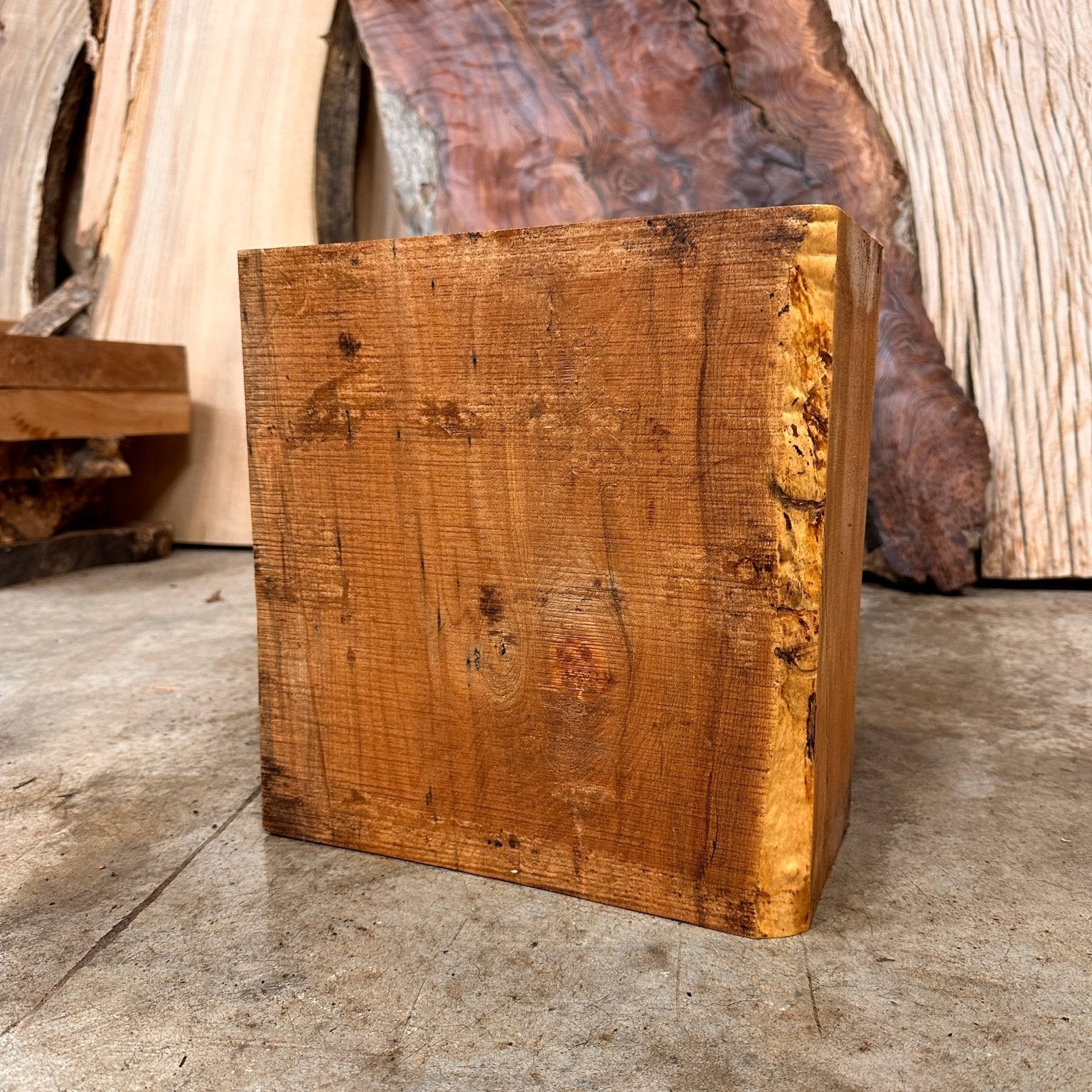 Big Leaf Maple Blank | Big Leaf Maple | Hamilton Lee Supply