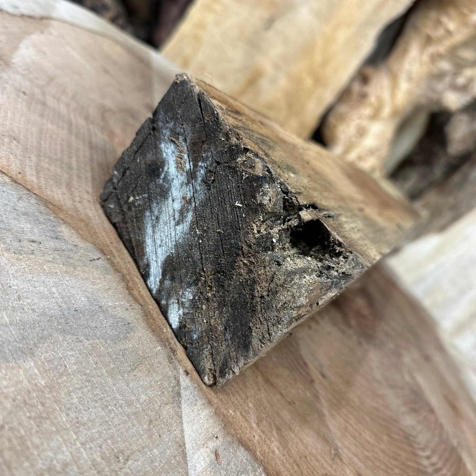 Big Leaf Maple Blank | Big Leaf Maple | Hamilton Lee Supply