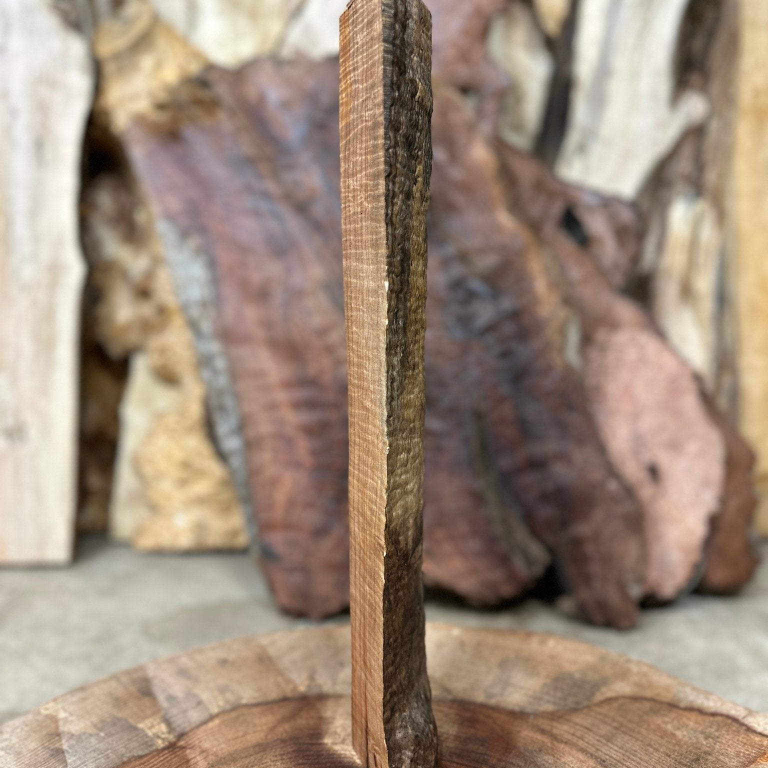 Big Leaf Maple Blank | Big Leaf Maple | Hamilton Lee Supply