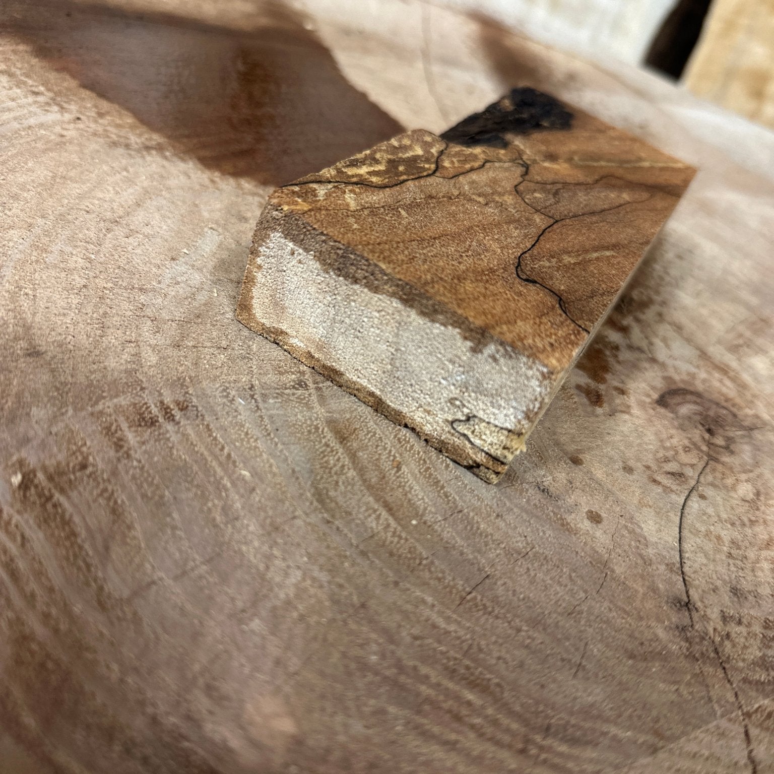 Big Leaf Maple Blank | Big Leaf Maple | Hamilton Lee Supply