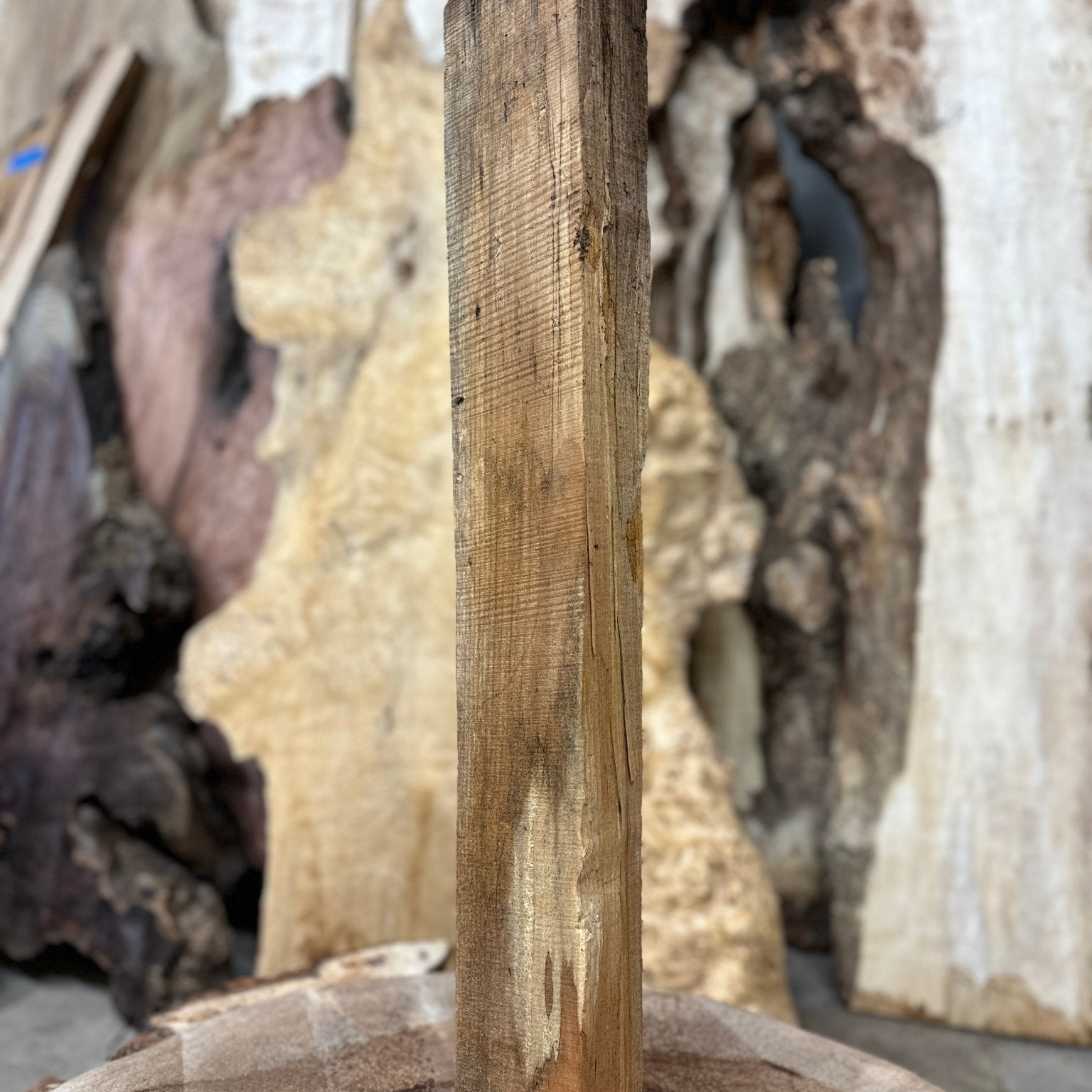 Big Leaf Maple Blank | Big Leaf Maple | Hamilton Lee Supply