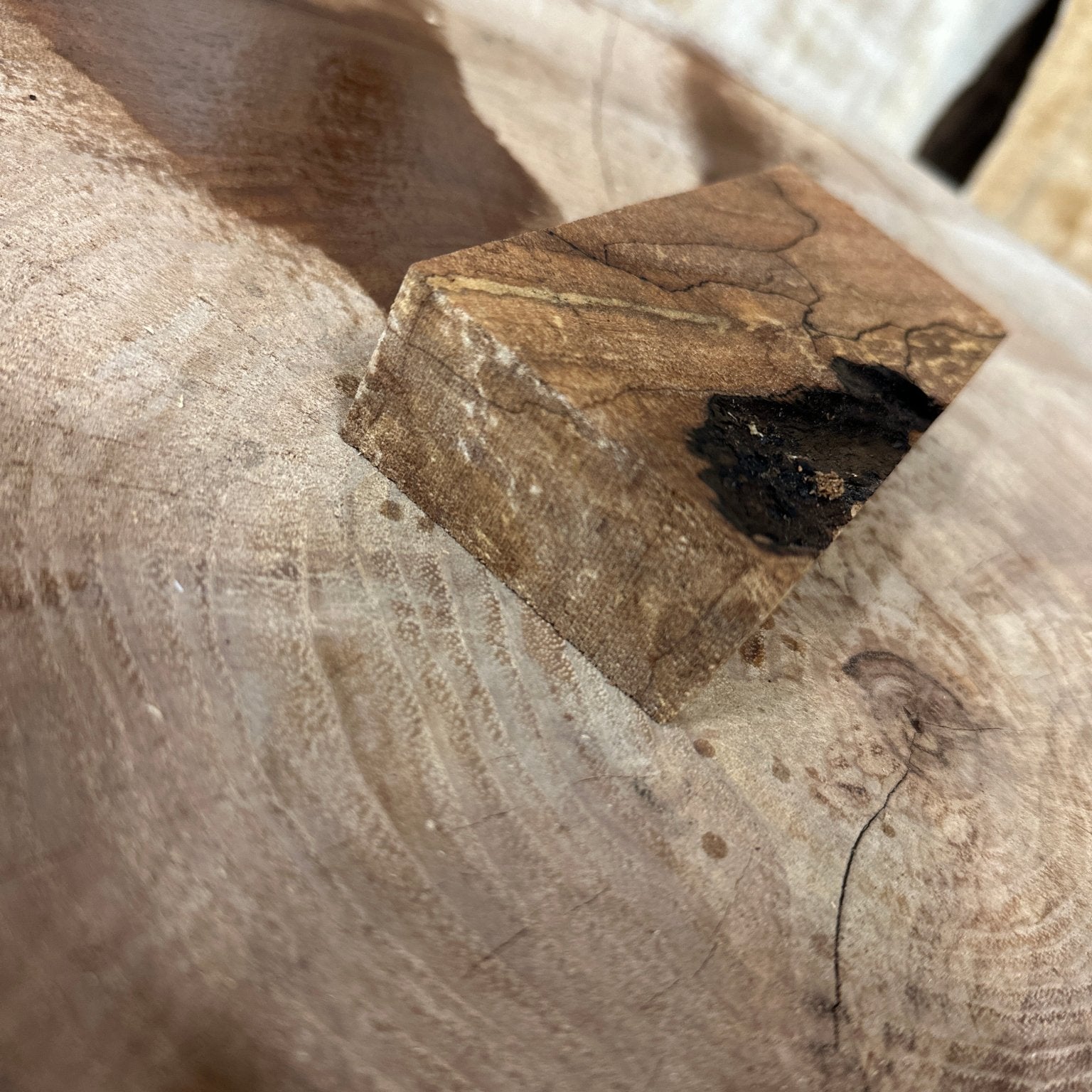 Big Leaf Maple Blank | Big Leaf Maple | Hamilton Lee Supply