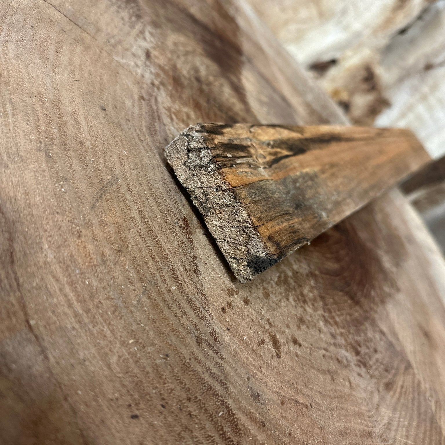 Big Leaf Maple Blank | Big Leaf Maple | Hamilton Lee Supply
