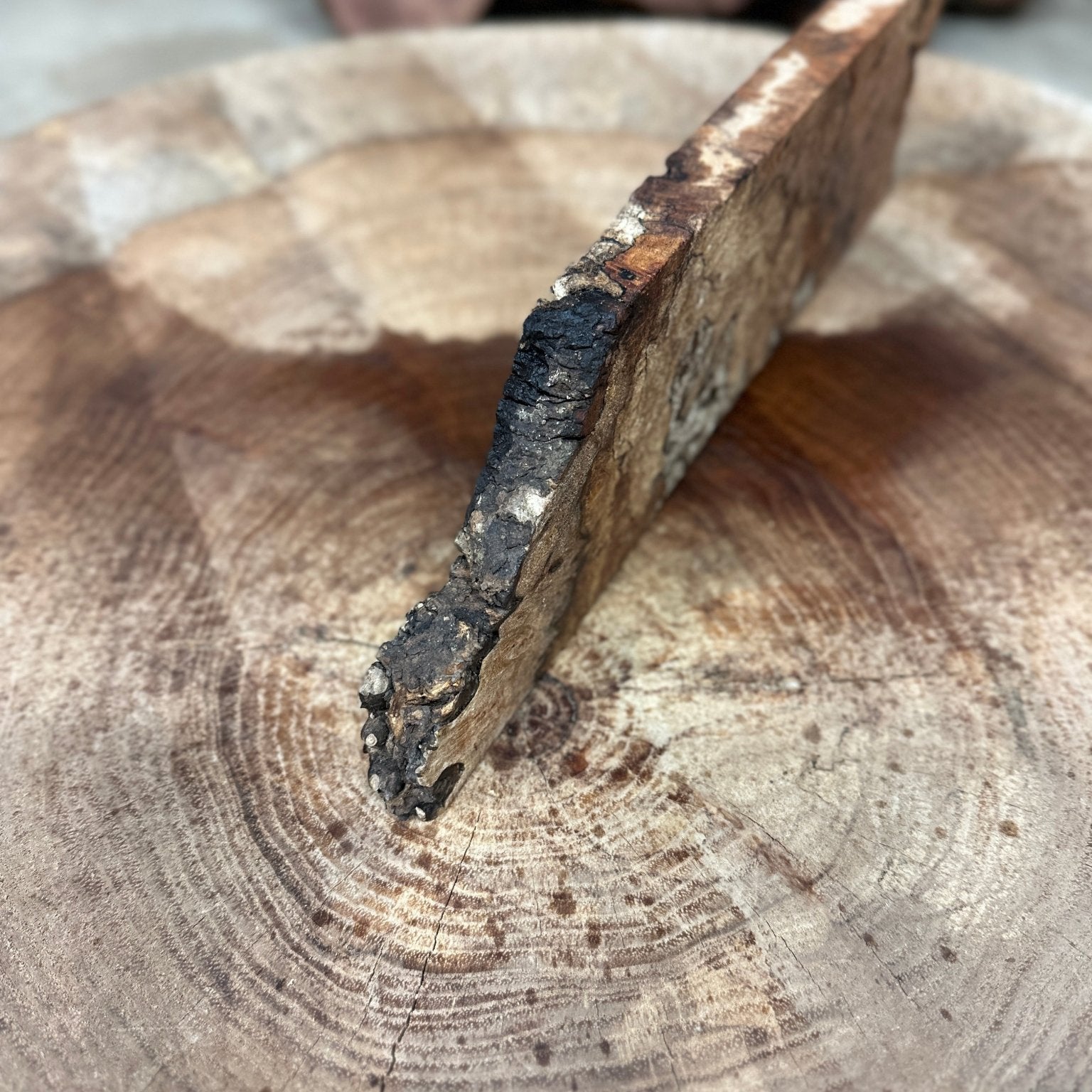 Big Leaf Maple Blank | Big Leaf Maple | Hamilton Lee Supply