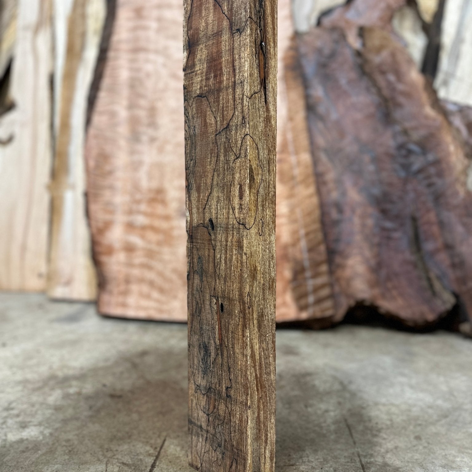 Big Leaf Maple Blank | Big Leaf Maple | Hamilton Lee Supply