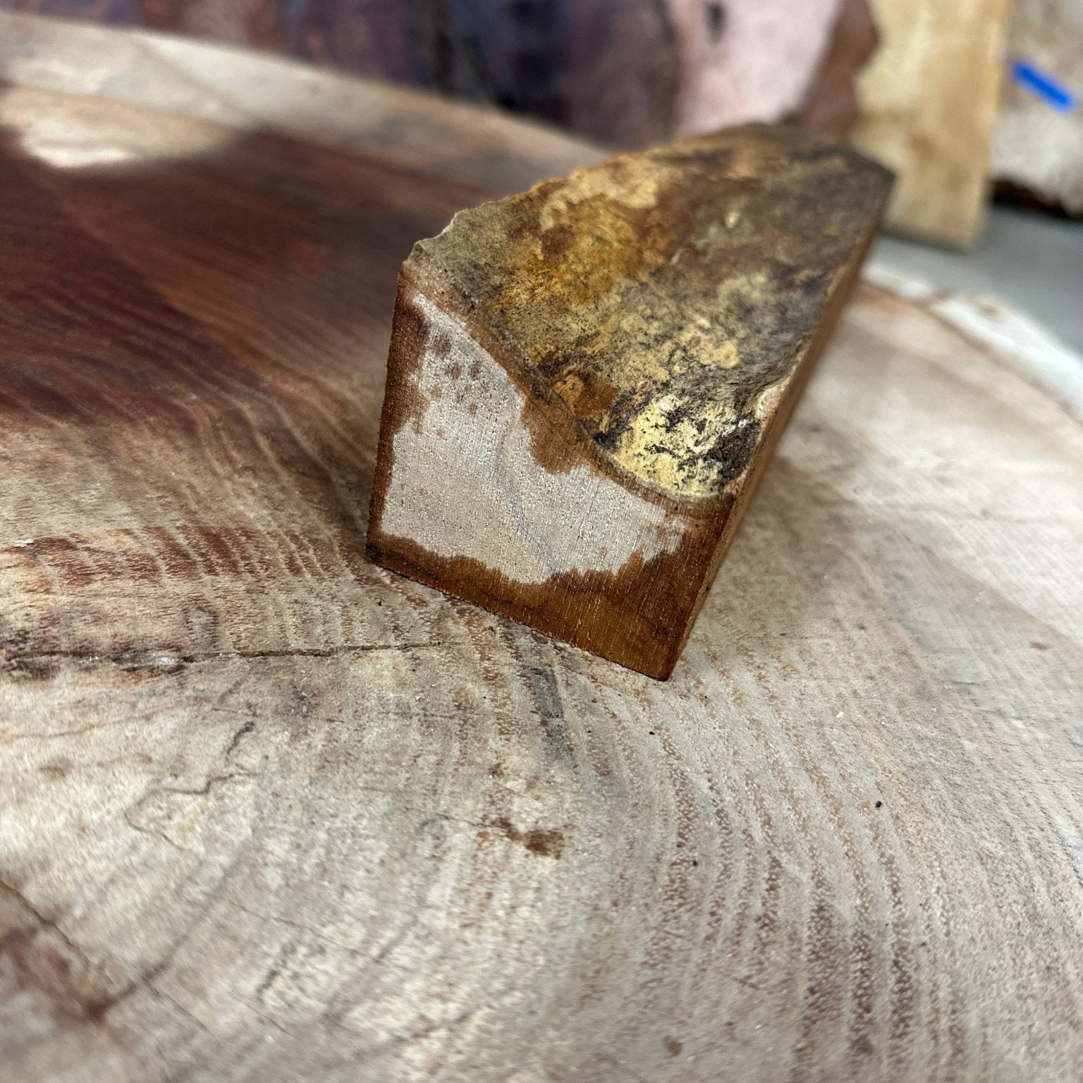 Big Leaf Maple Blank | Big Leaf Maple | Hamilton Lee Supply