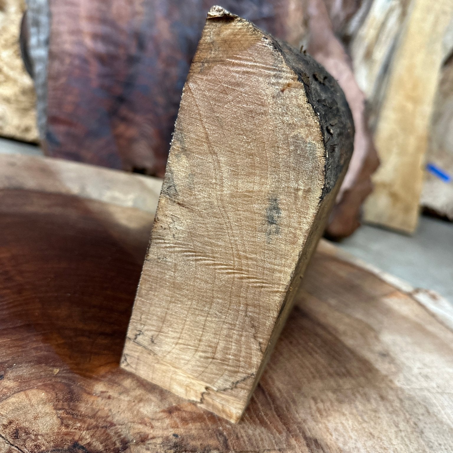 Big Leaf Maple Blank | Big Leaf Maple | Hamilton Lee Supply