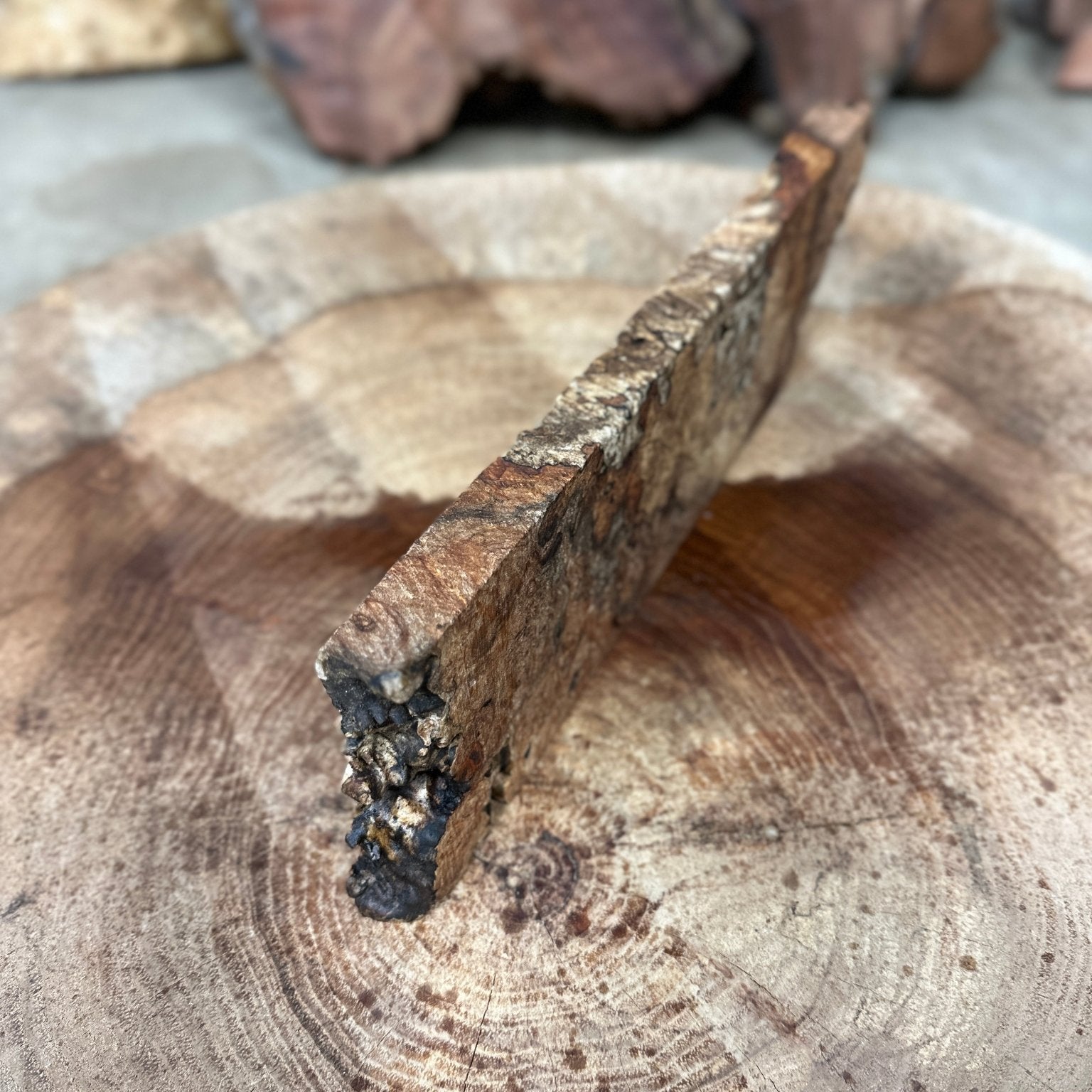 Big Leaf Maple Blank | Big Leaf Maple | Hamilton Lee Supply