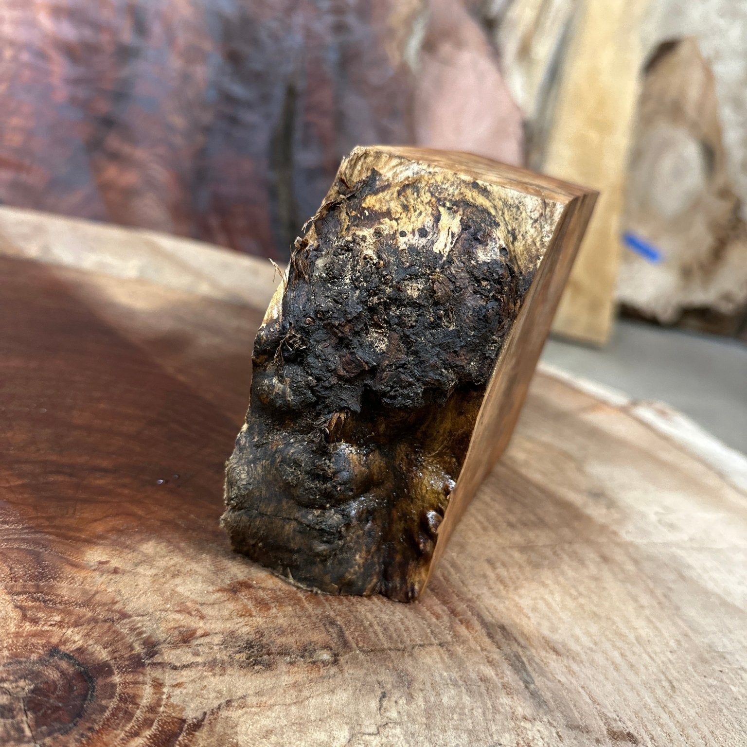 Big Leaf Maple Blank | Big Leaf Maple | Hamilton Lee Supply