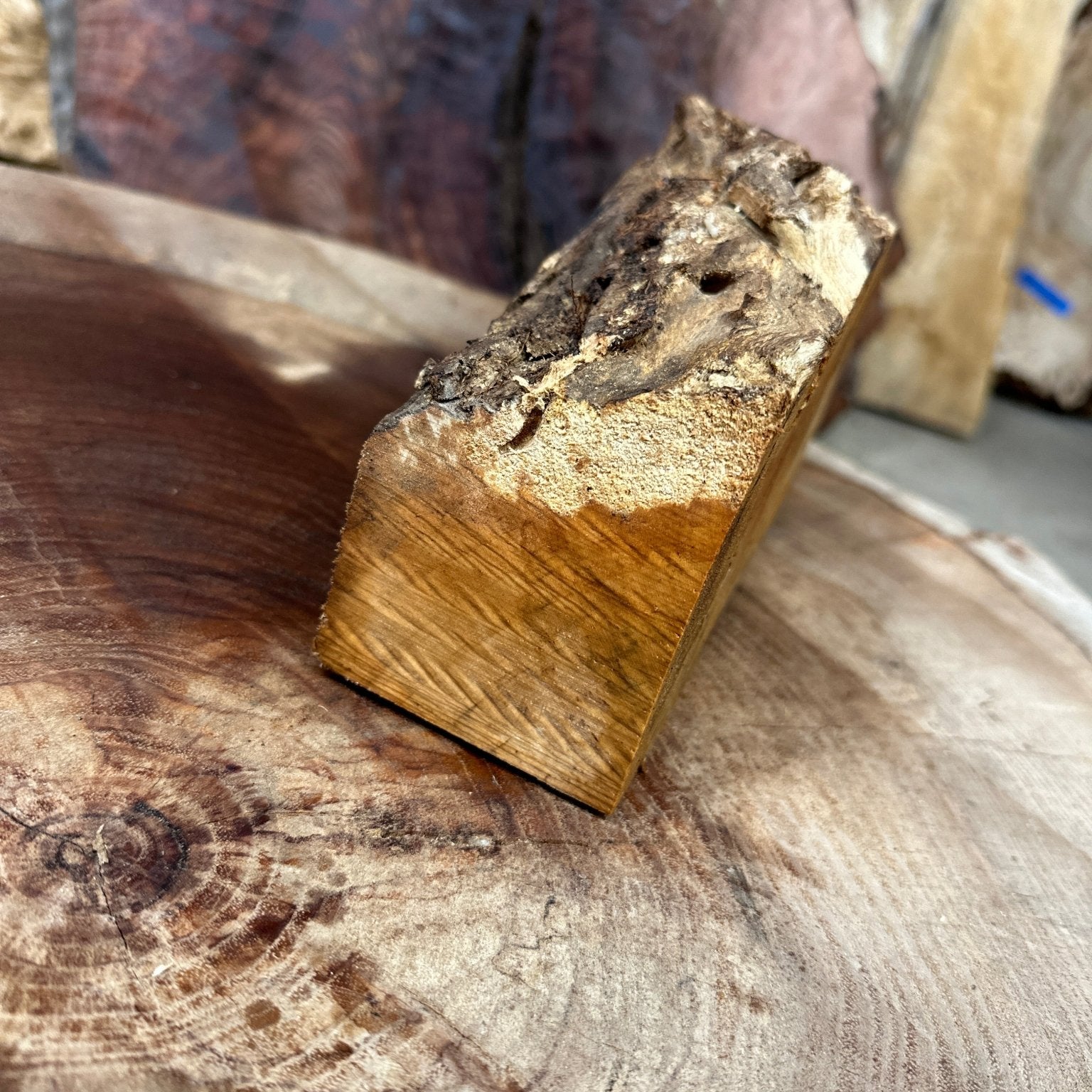 Big Leaf Maple Blank | Big Leaf Maple | Hamilton Lee Supply
