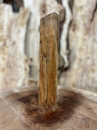 Big Leaf Maple Blank | Big Leaf Maple | Hamilton Lee Supply