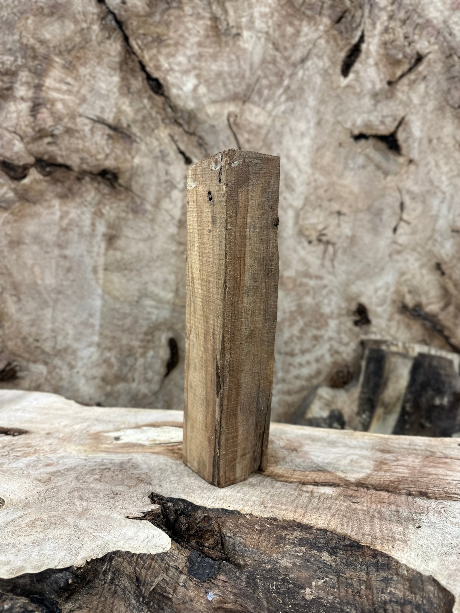Birch Blank | Birch | Hamilton Lee Supply