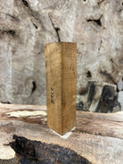 Birch Blank | Birch | Hamilton Lee Supply