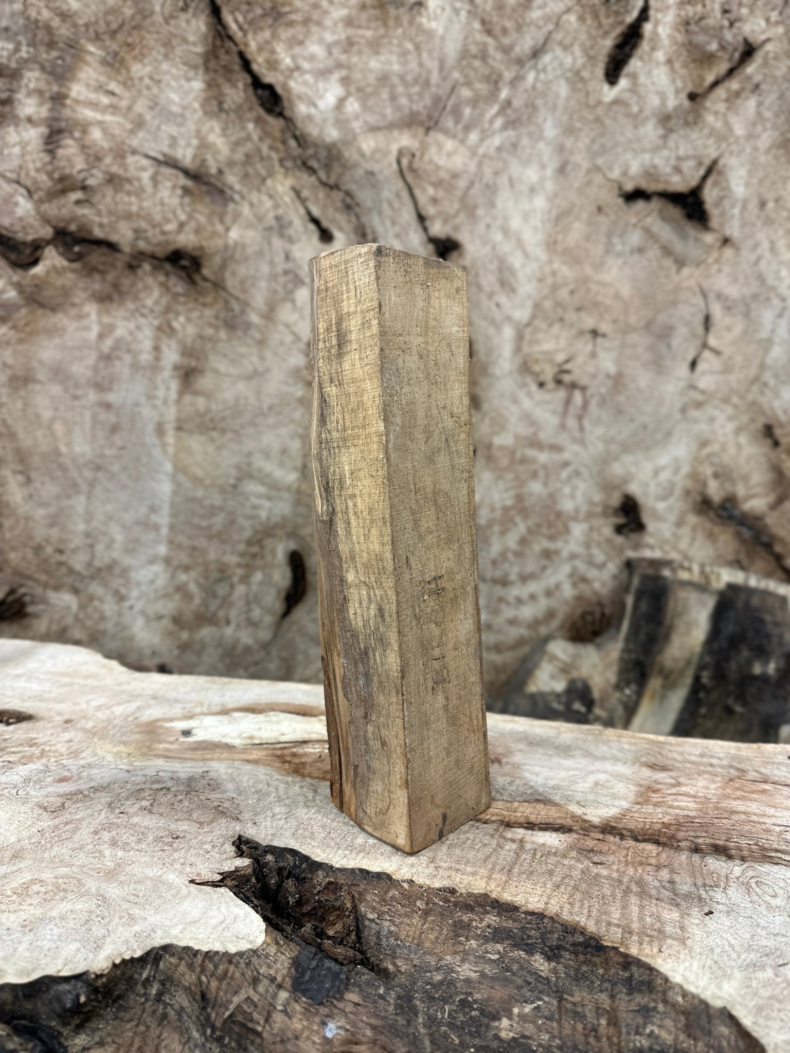 Birch Blank | Birch | Hamilton Lee Supply