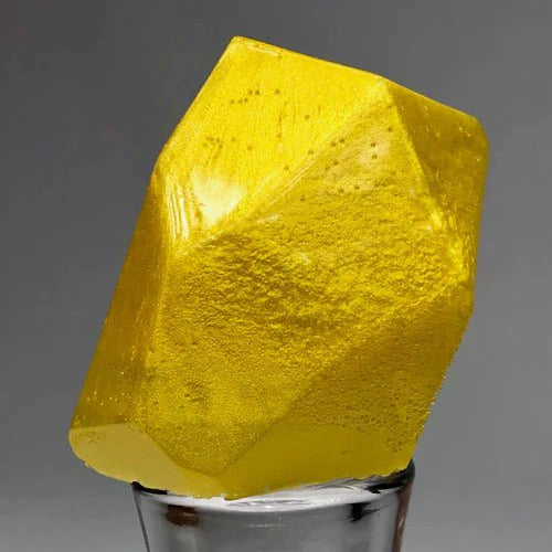 Black Diamond Pigments - 24K Gold - 51g | Mica Pigment | Hamilton Lee Supply