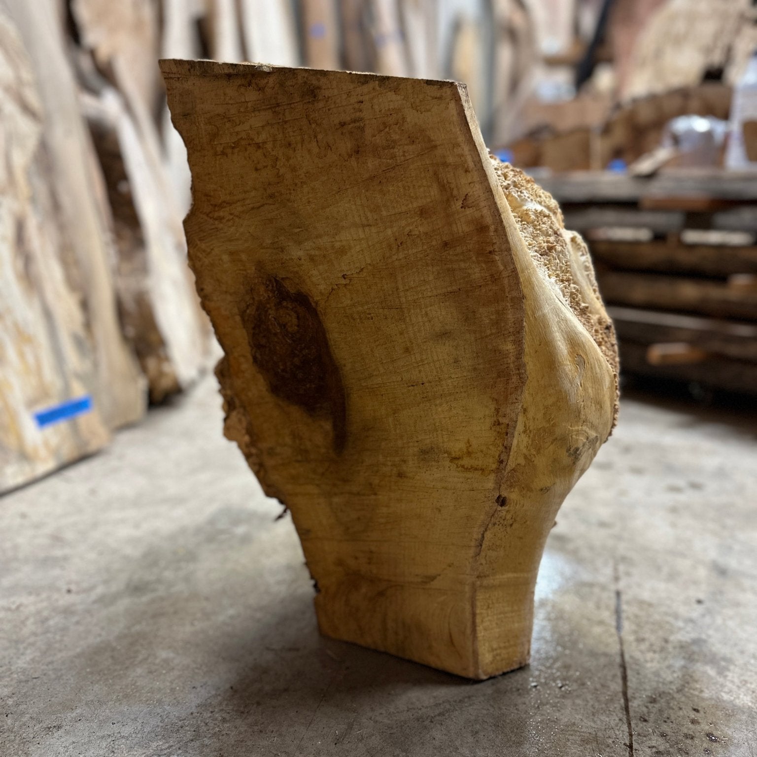 Black Locust Burl Cap | Black Locust | Double Diamond