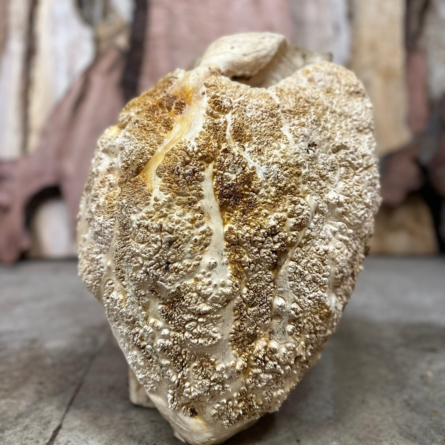 Black Locust Burl Cap | Black Locust | Double Diamond