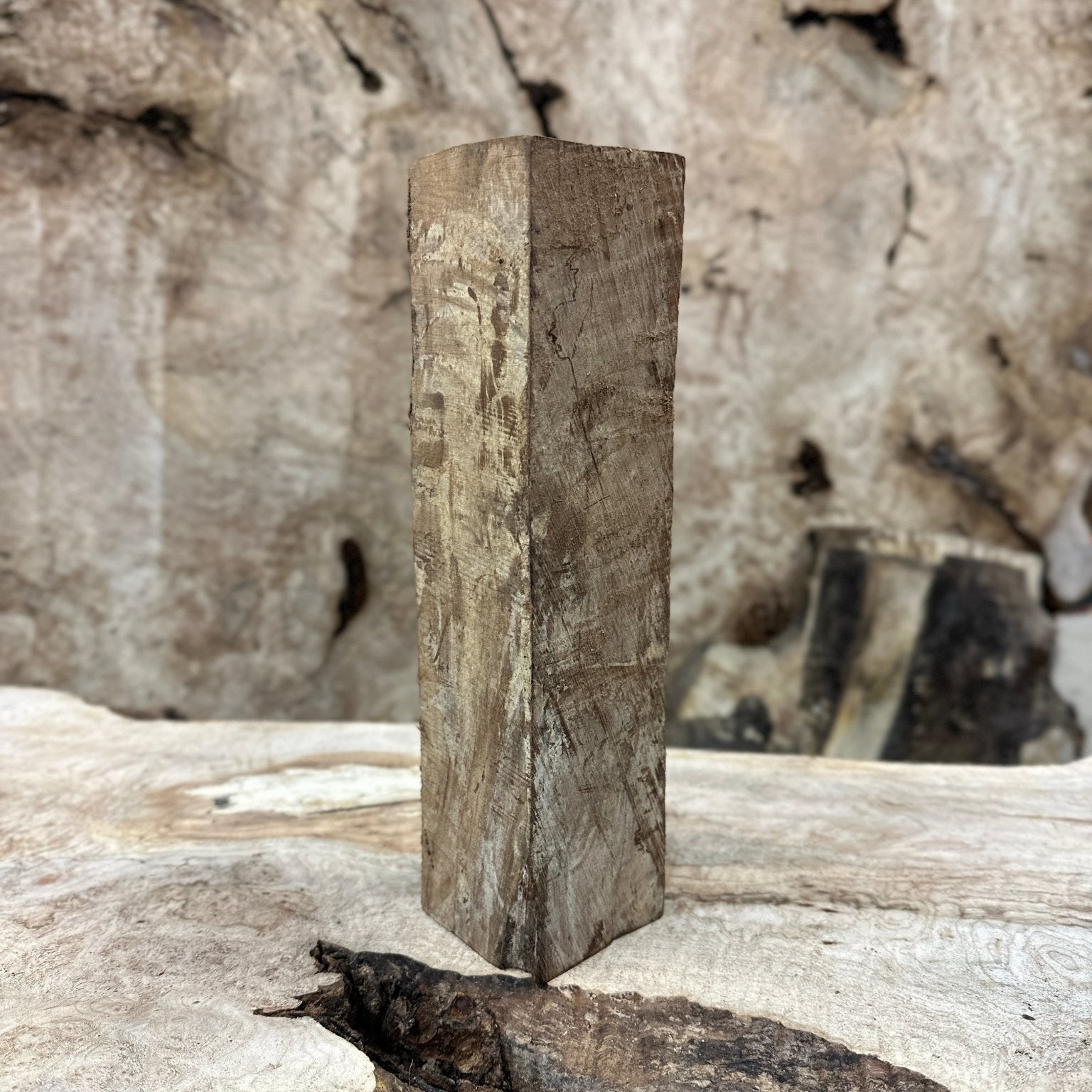 Black Walnut Blank | Black Walnut | Hamilton Lee Supply