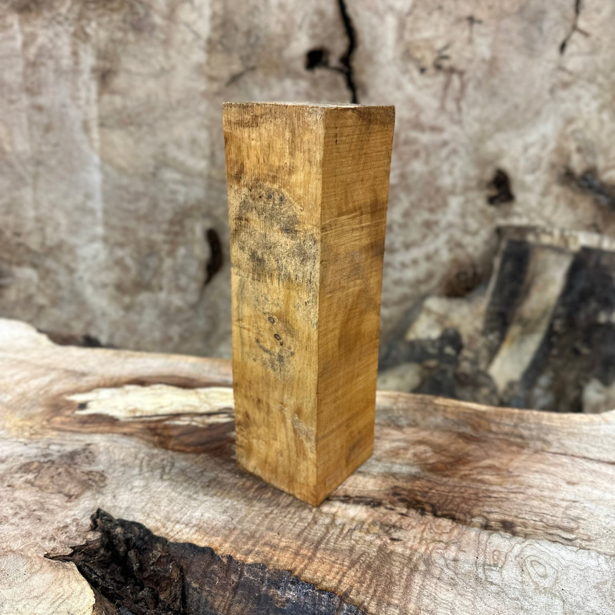 Box Elder Blank | Box Elder | Hamilton Lee Supply