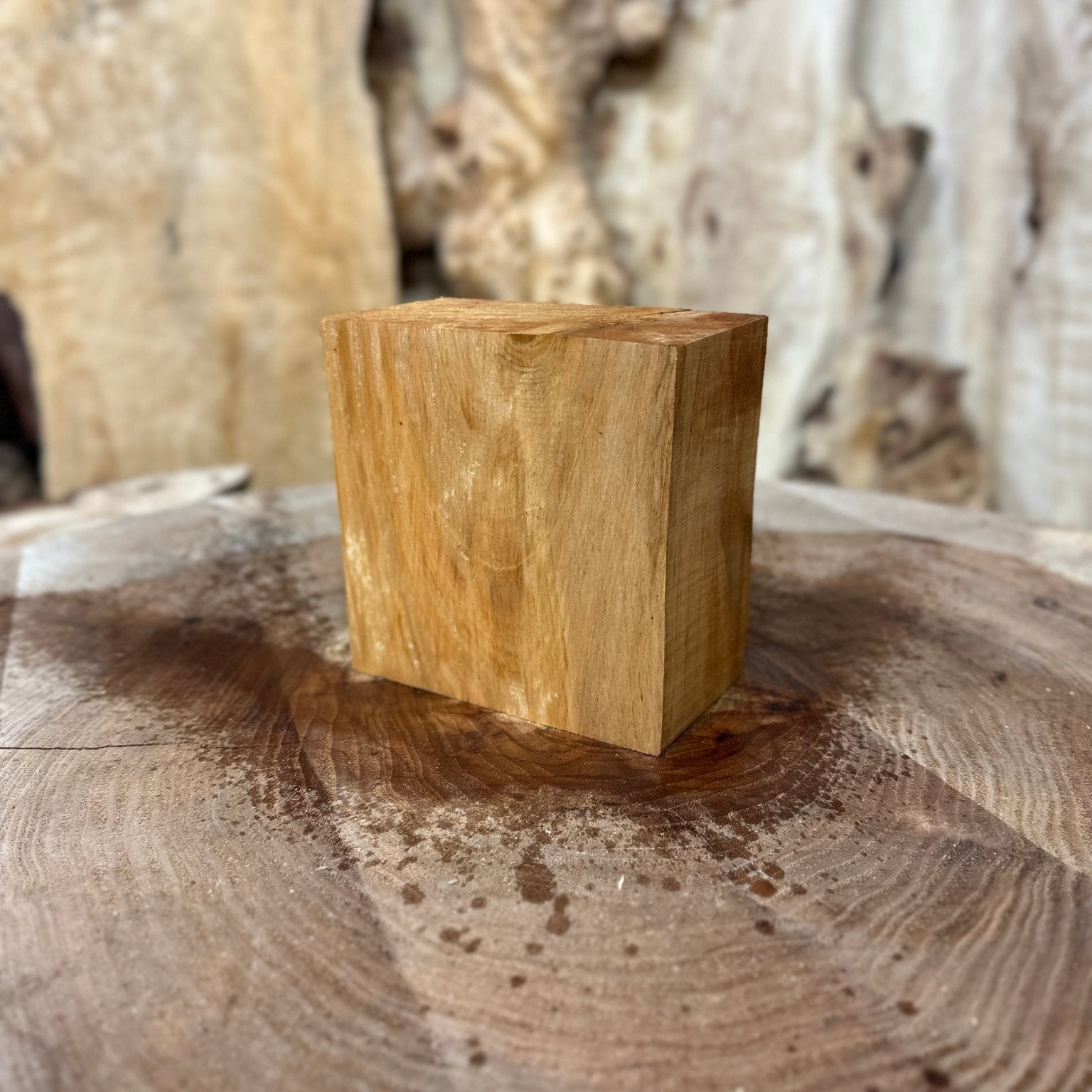 Big Leaf Maple Blank | Big Leaf Maple | Hamilton Lee Supply