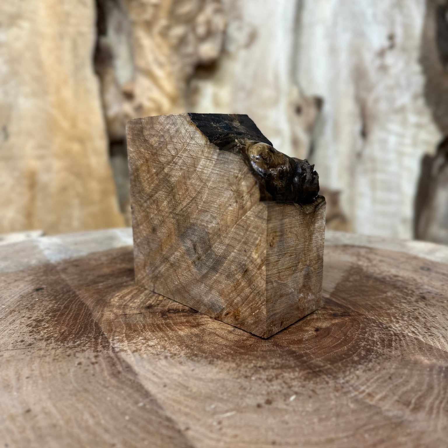 Big Leaf Maple Burl Blank | Big Leaf Maple | Hamilton Lee Supply