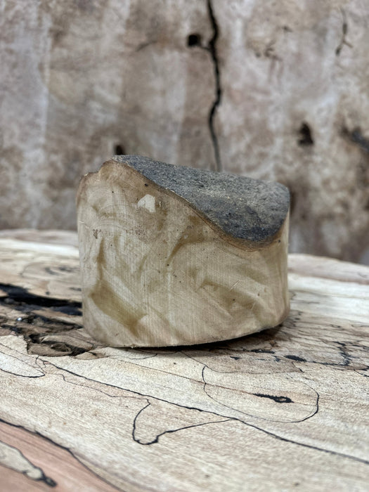 DGB Woodworks | Holly Blank | Holly | Hamilton Lee Supply