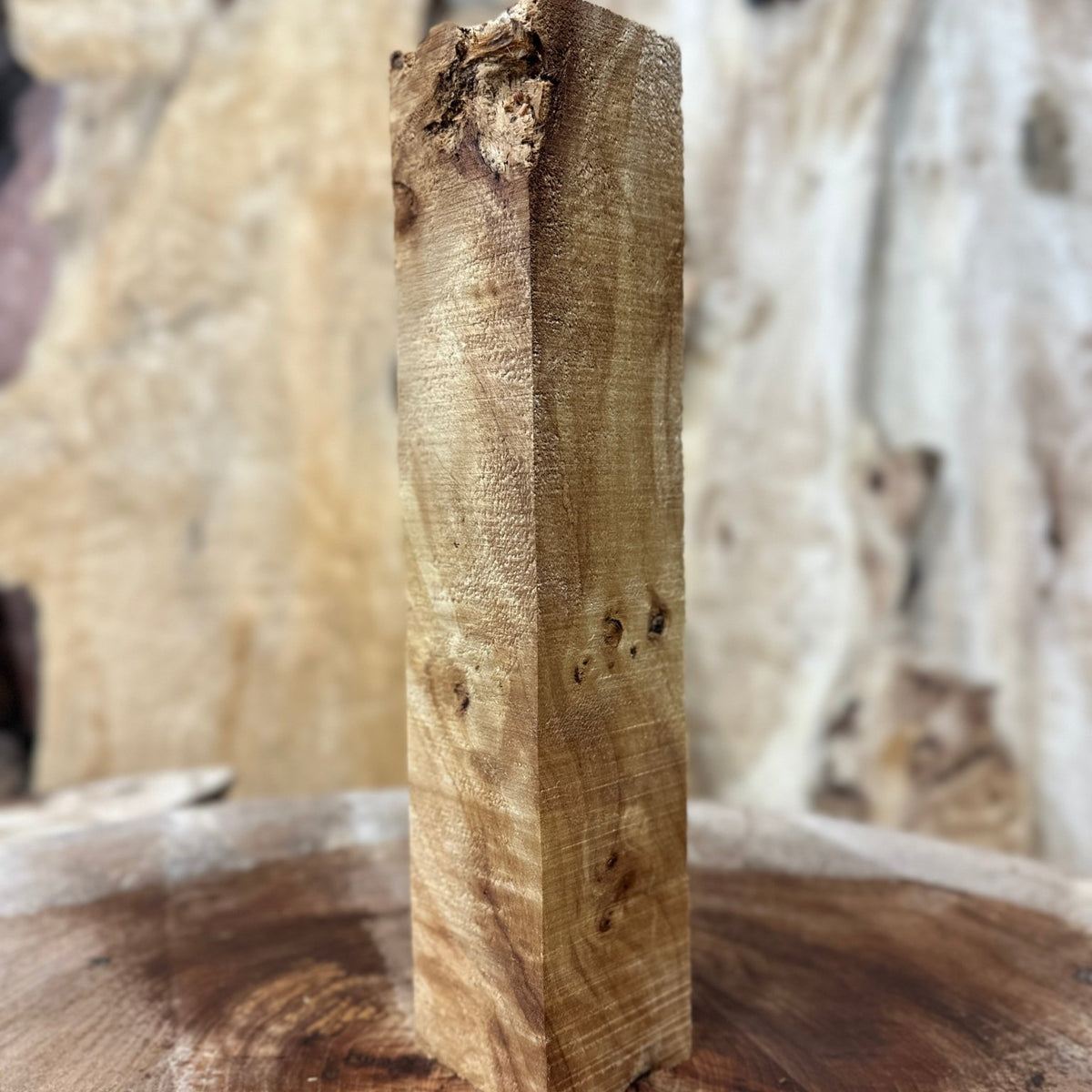Mappa Burl Blank | Mappa Burl | Hamilton Lee Supply