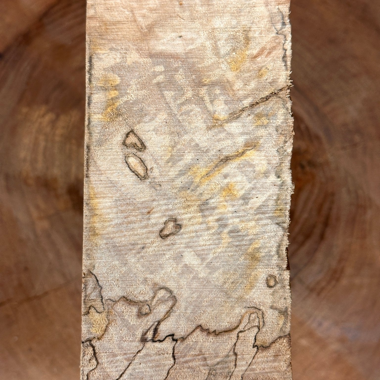 Beech Blank | Beech | Hamilton Lee Supply