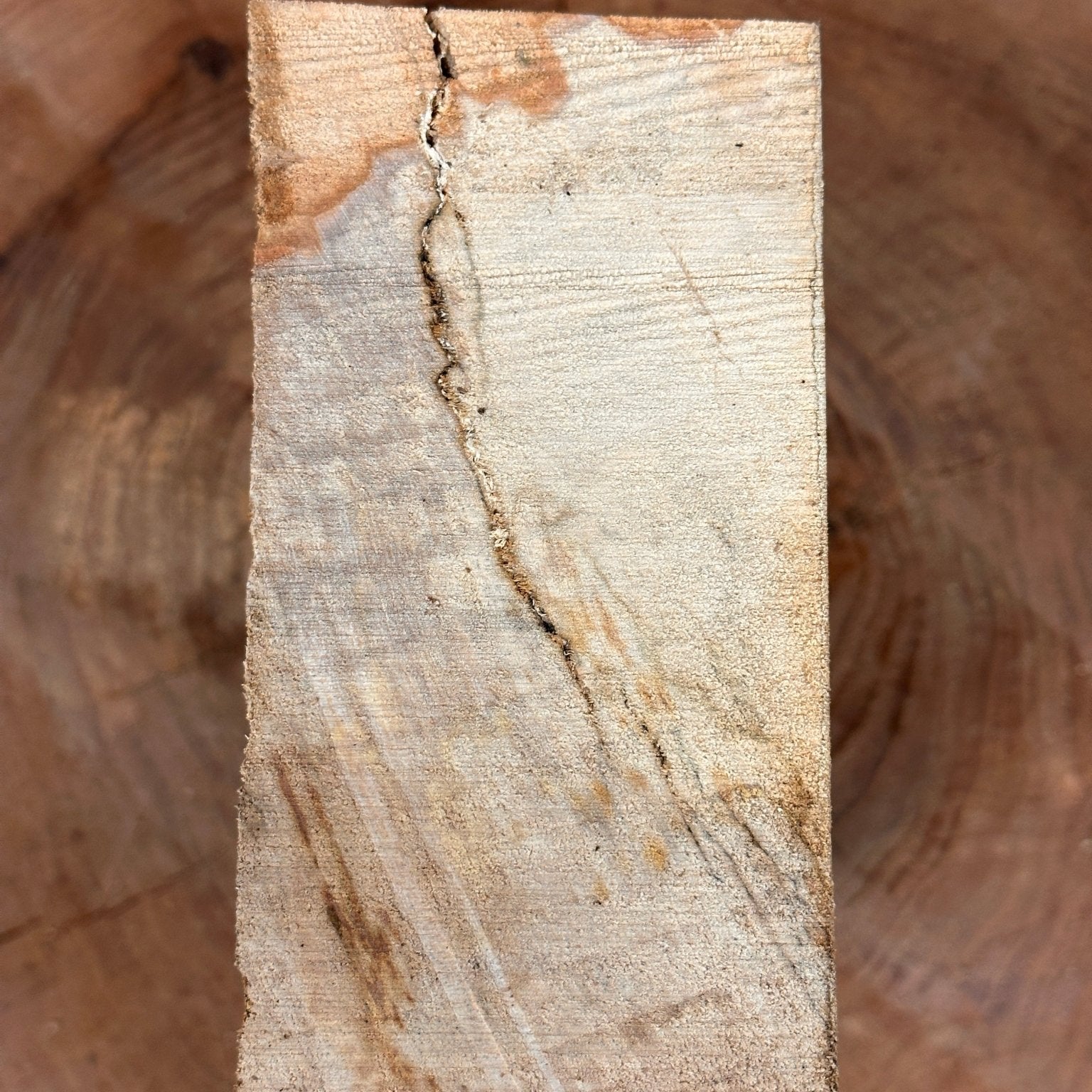 Beech Blank | Beech | Hamilton Lee Supply