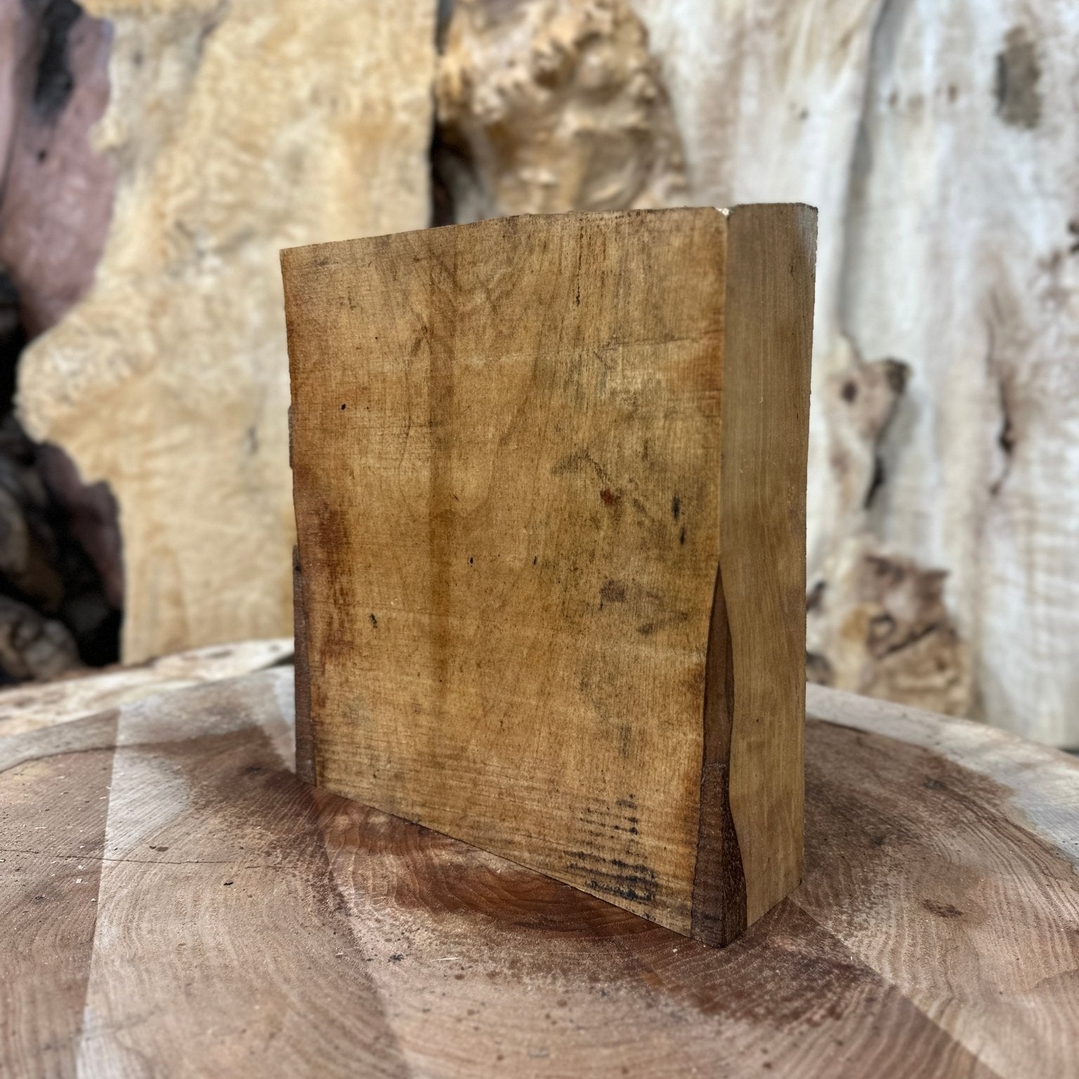 Big Leaf Maple Blank | Big Leaf Maple | Hamilton Lee Supply
