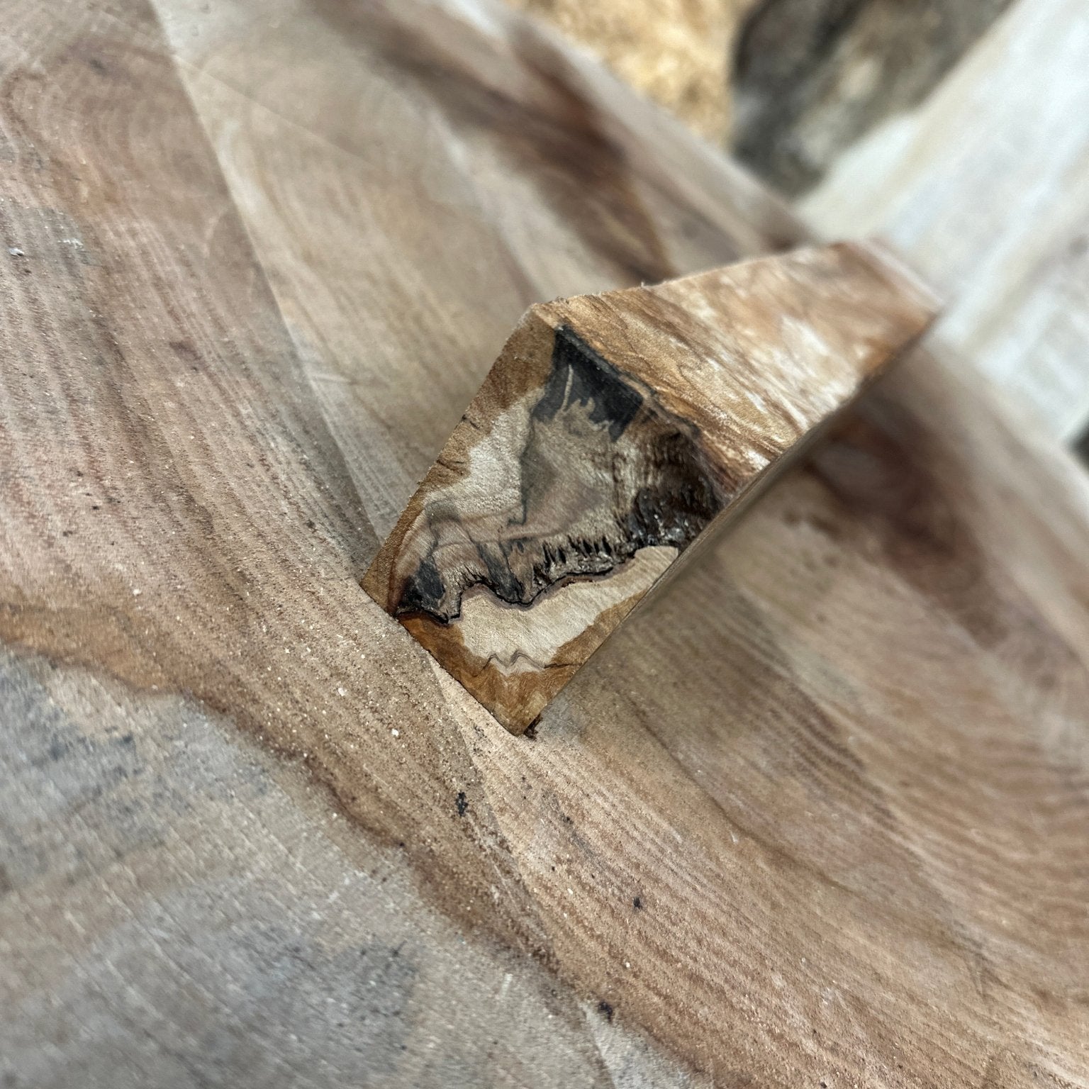 Big Leaf Maple Blank | Big Leaf Maple | Hamilton Lee Supply