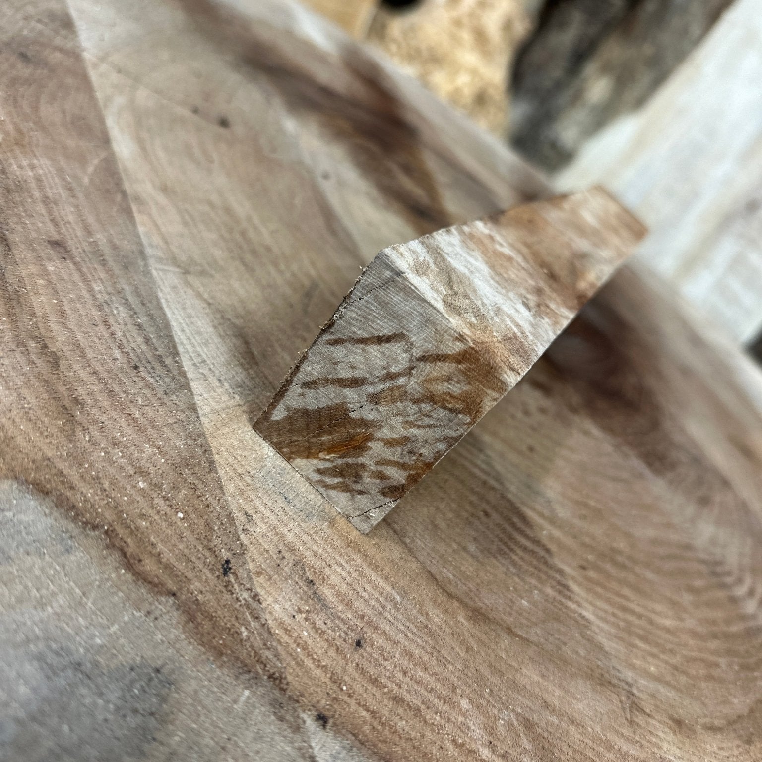 Big Leaf Maple Blank | Big Leaf Maple | Hamilton Lee Supply