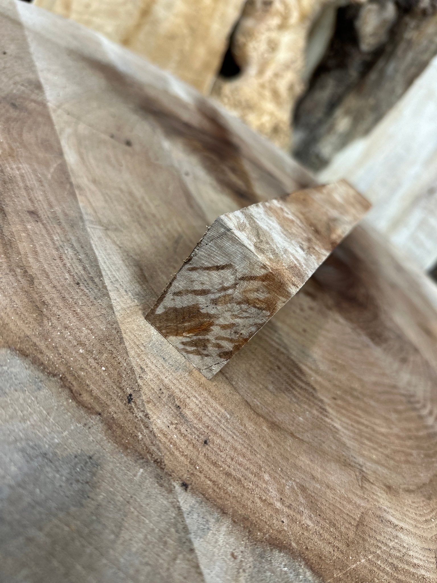 Big Leaf Maple Blank | Big Leaf Maple | Hamilton Lee Supply