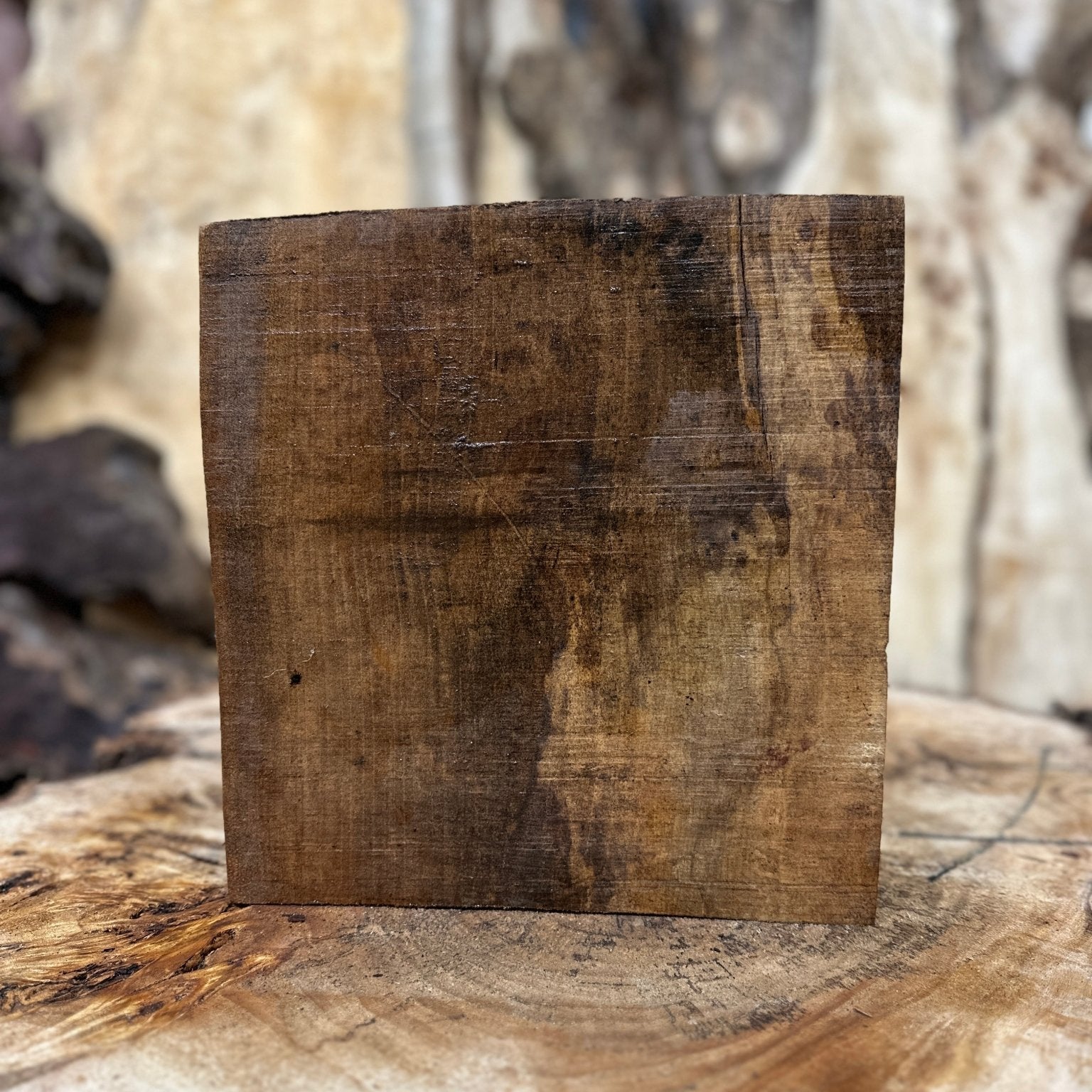 Big Leaf Maple Blank | Big Leaf Maple | Hamilton Lee Supply