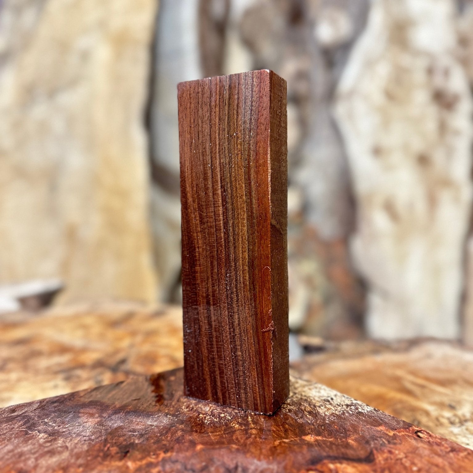 Black Walnut Blank | Black Walnut | Hamilton Lee Supply