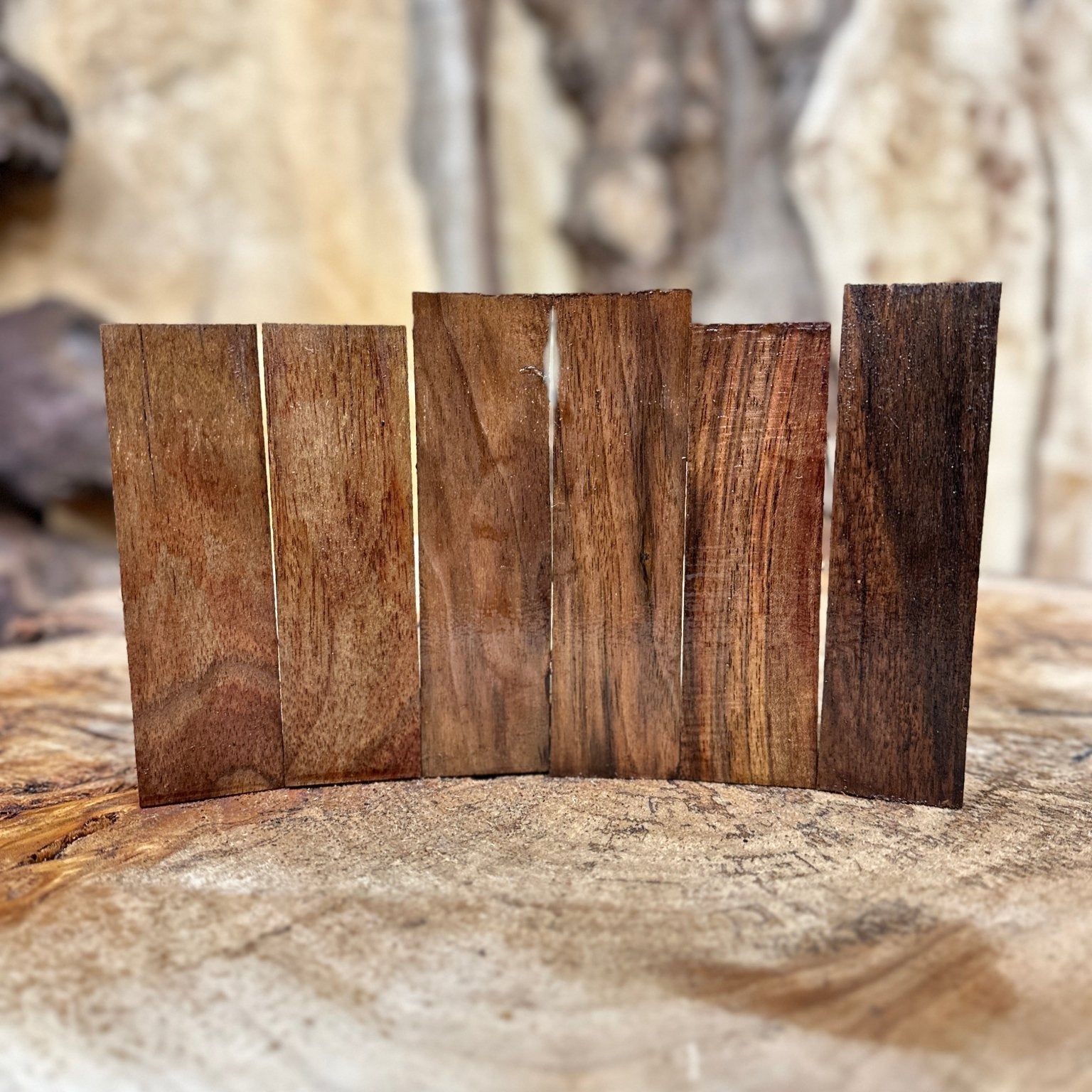 Black Walnut Call Blanks 6 Pack Bundle | Black Walnut | Hamilton Lee Supply