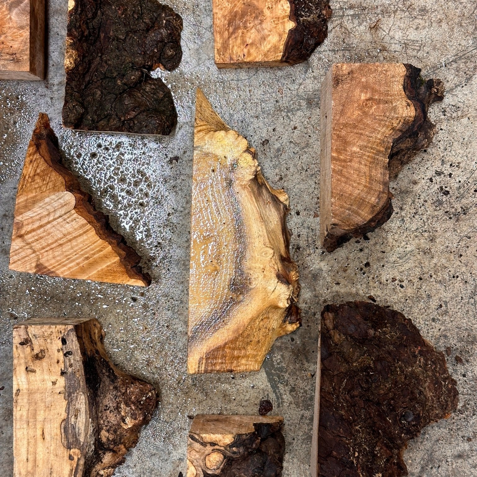 Box of Assorted Blanks | Turning Blank | Hamilton Lee Supply