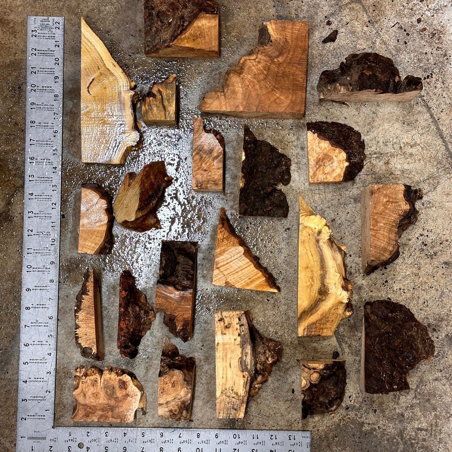 Box of Assorted Blanks | Turning Blank | Hamilton Lee Supply